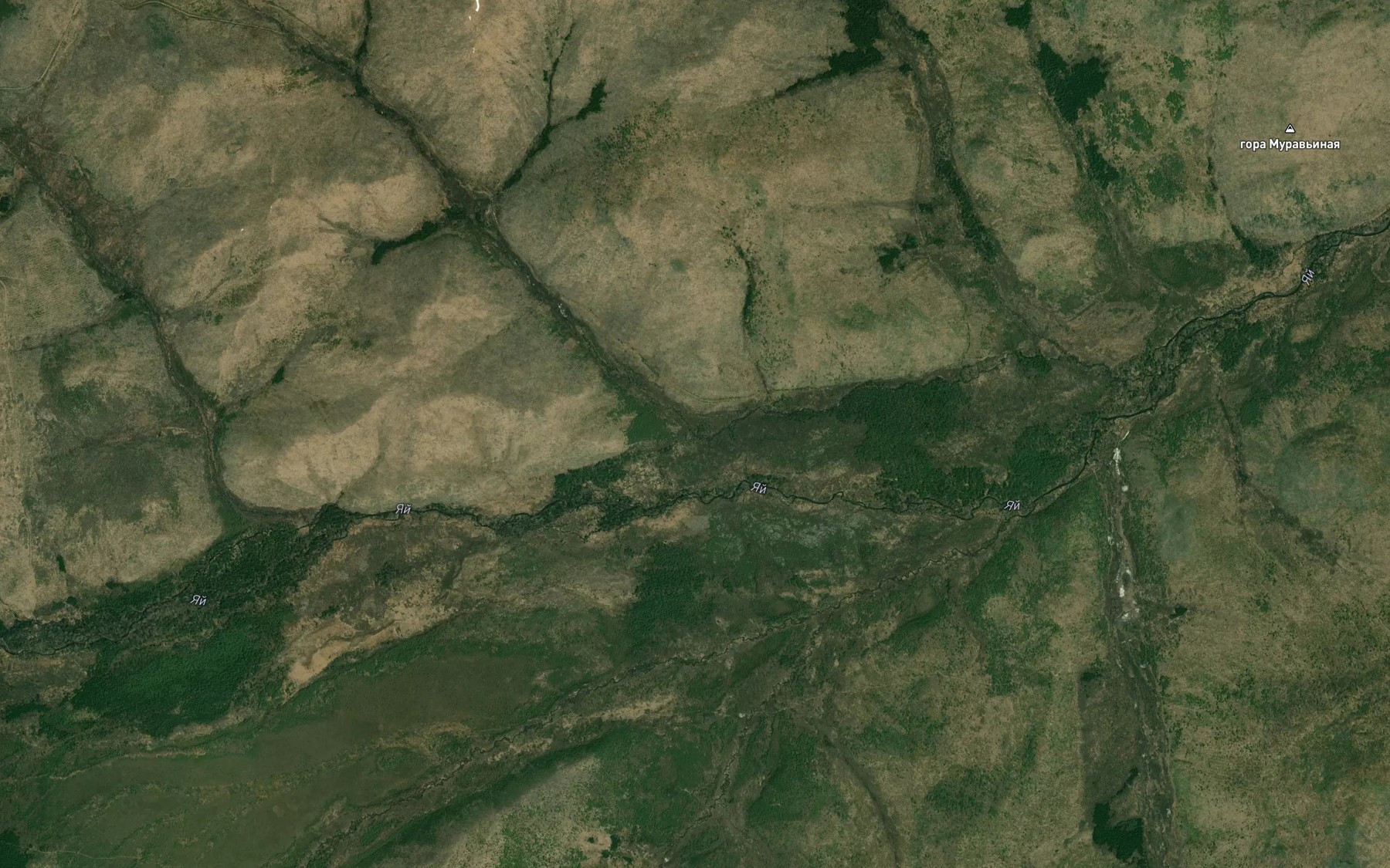 Satellite map of the Pryamoy