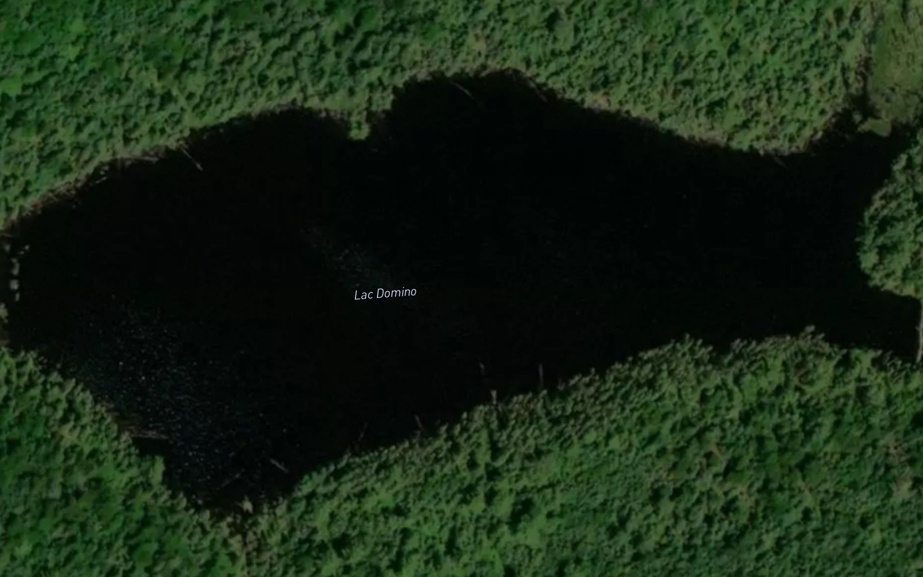 Satellite map of the Lac Domino