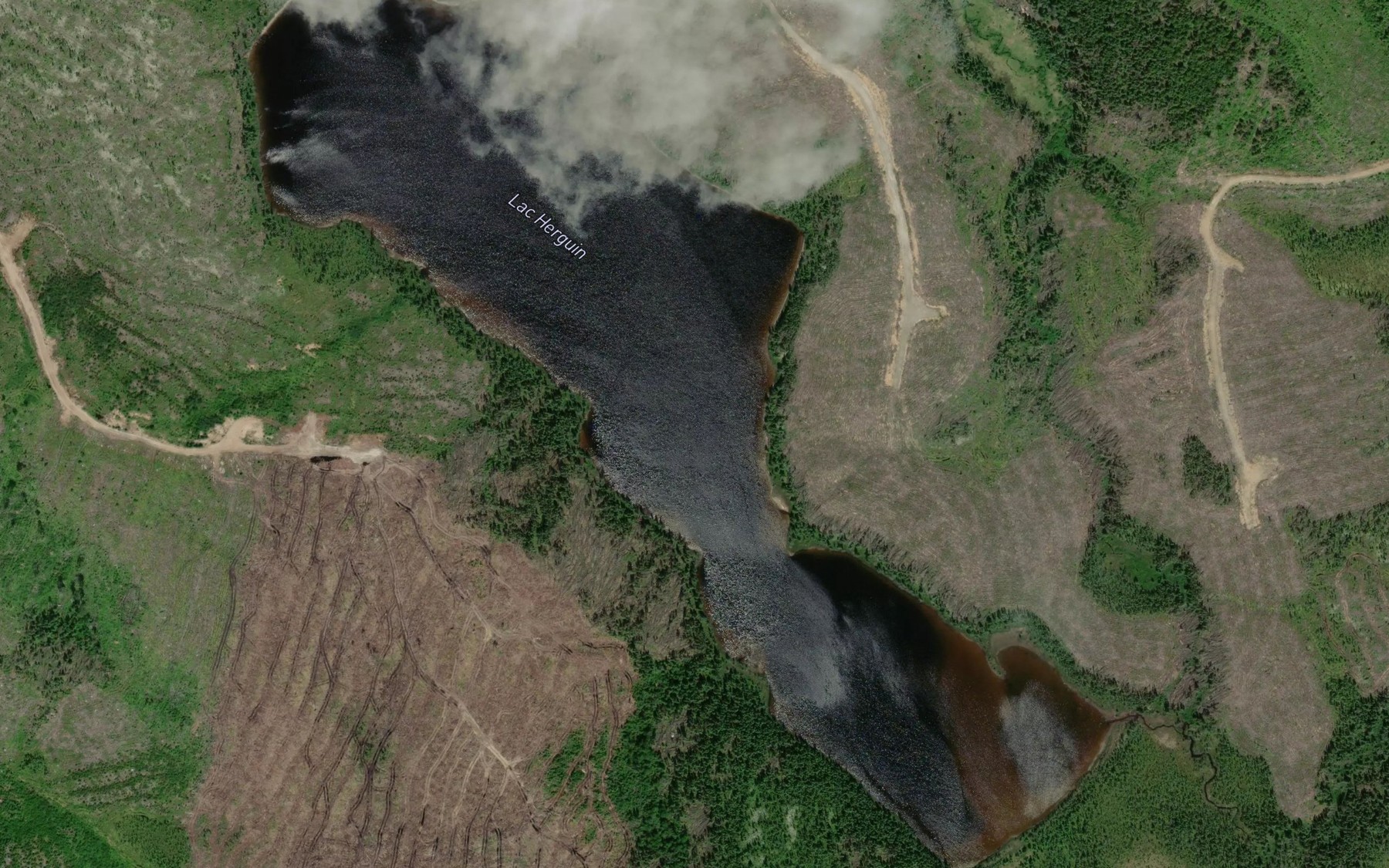 Satellite map of the Lac Herguin