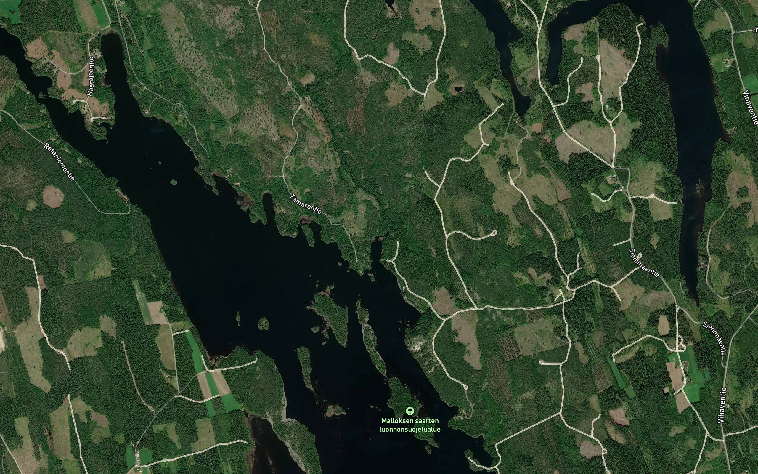 Tamaranjoki