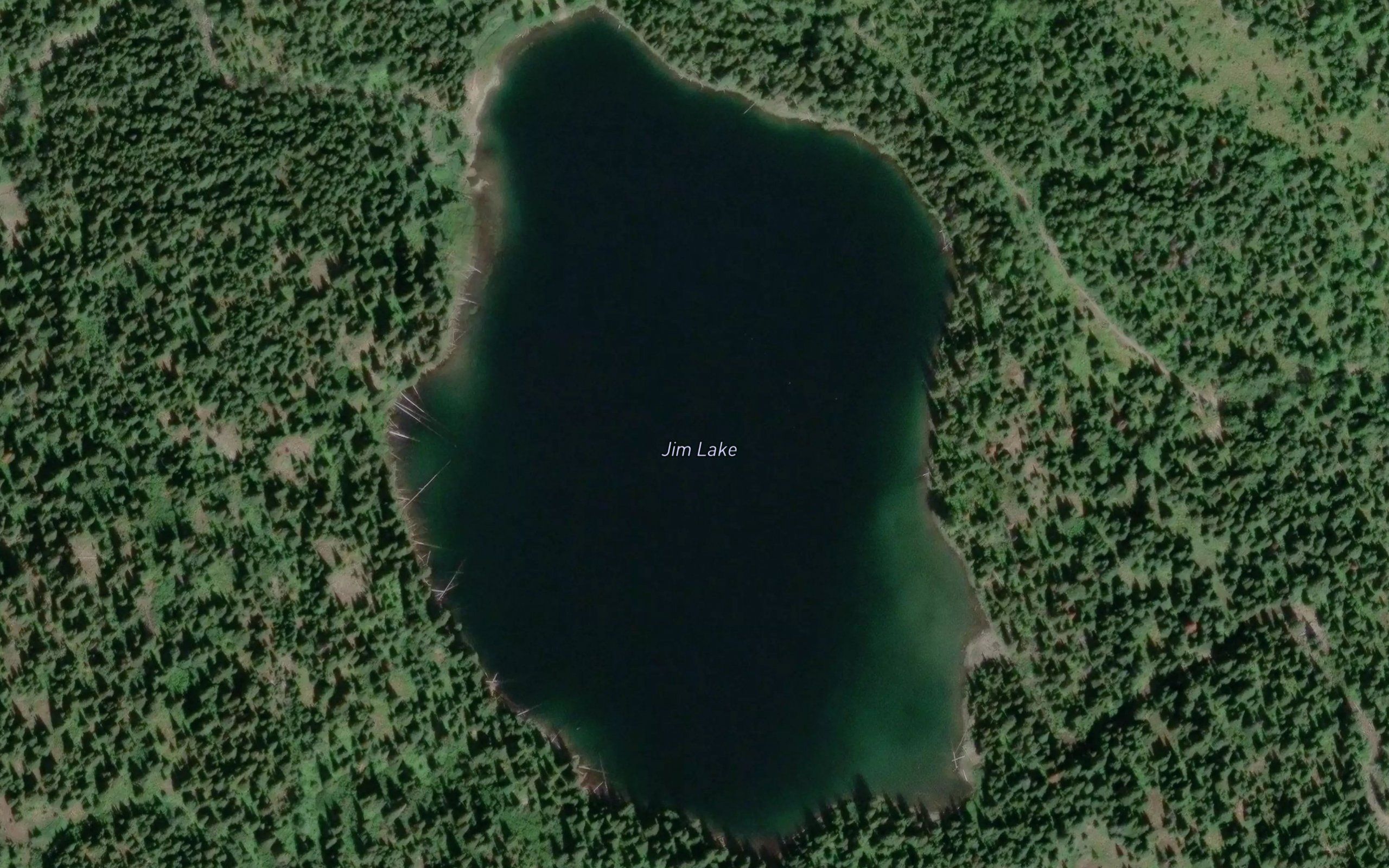 Jim Lake