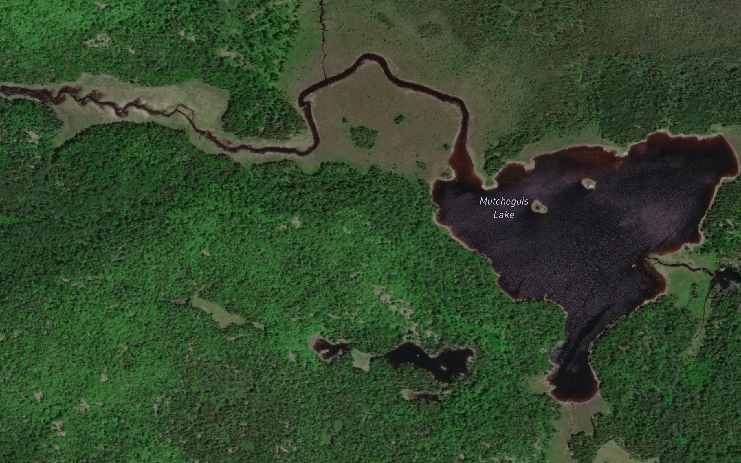 Mutcheguis Lake