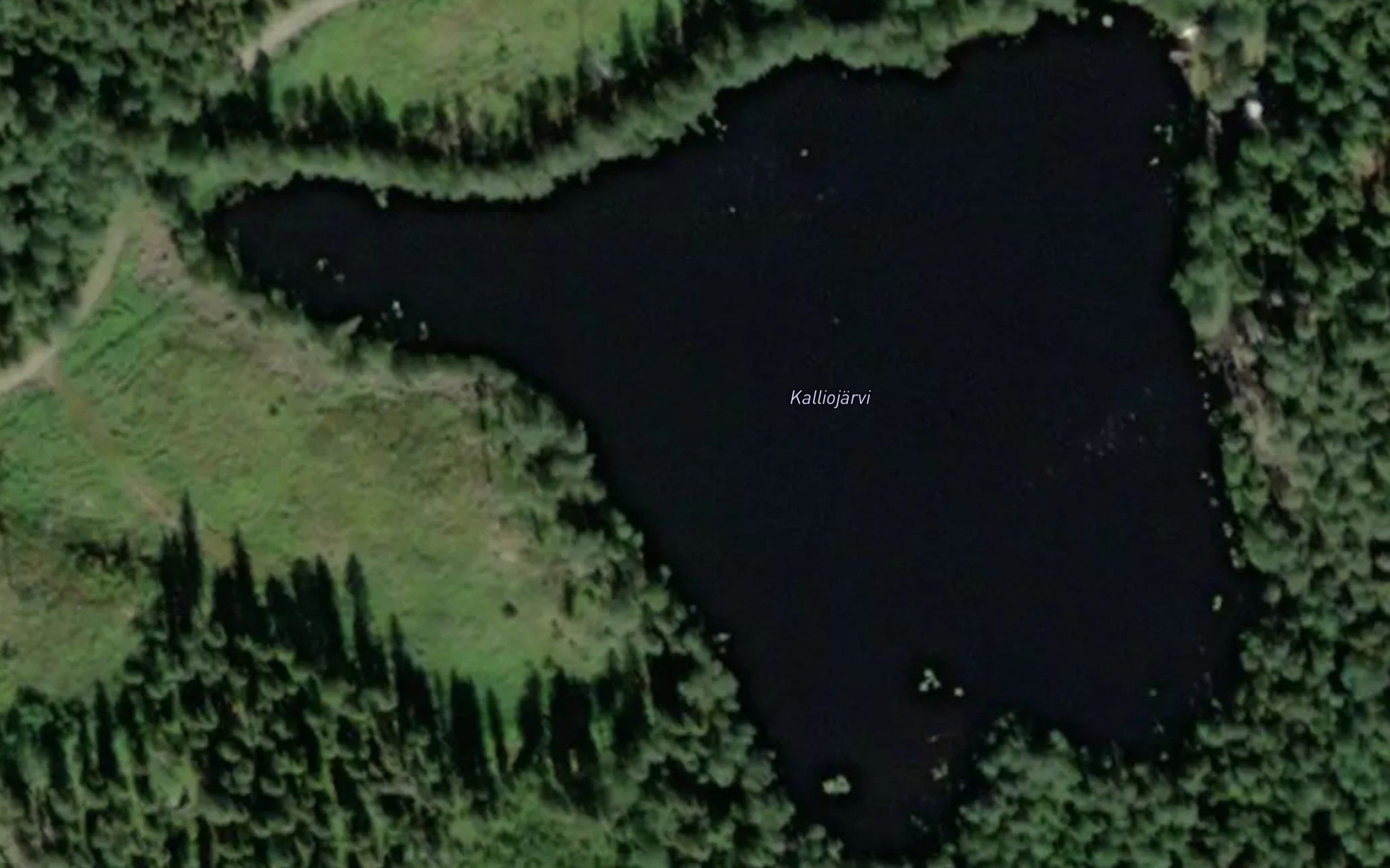 Kalliojarvi