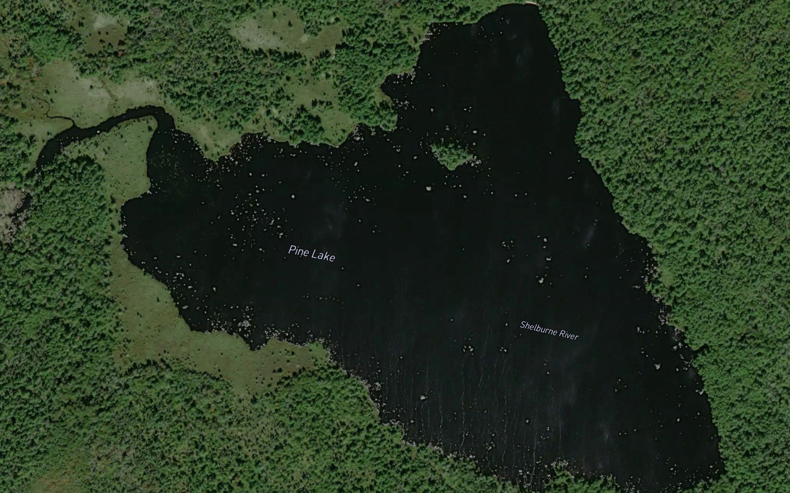 Pine Lake