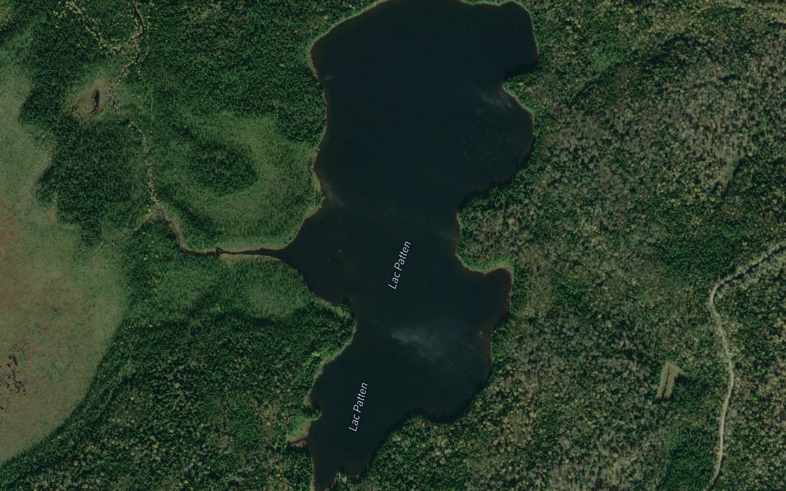 Lac Patten