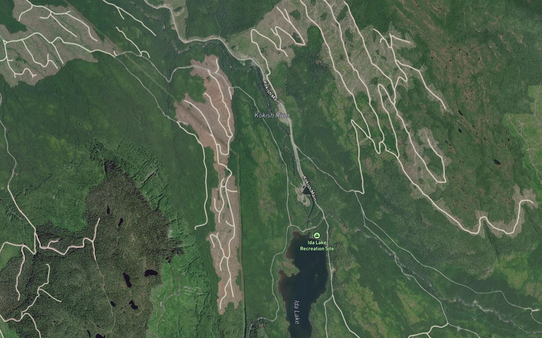 Satellite map of the Bonanza River