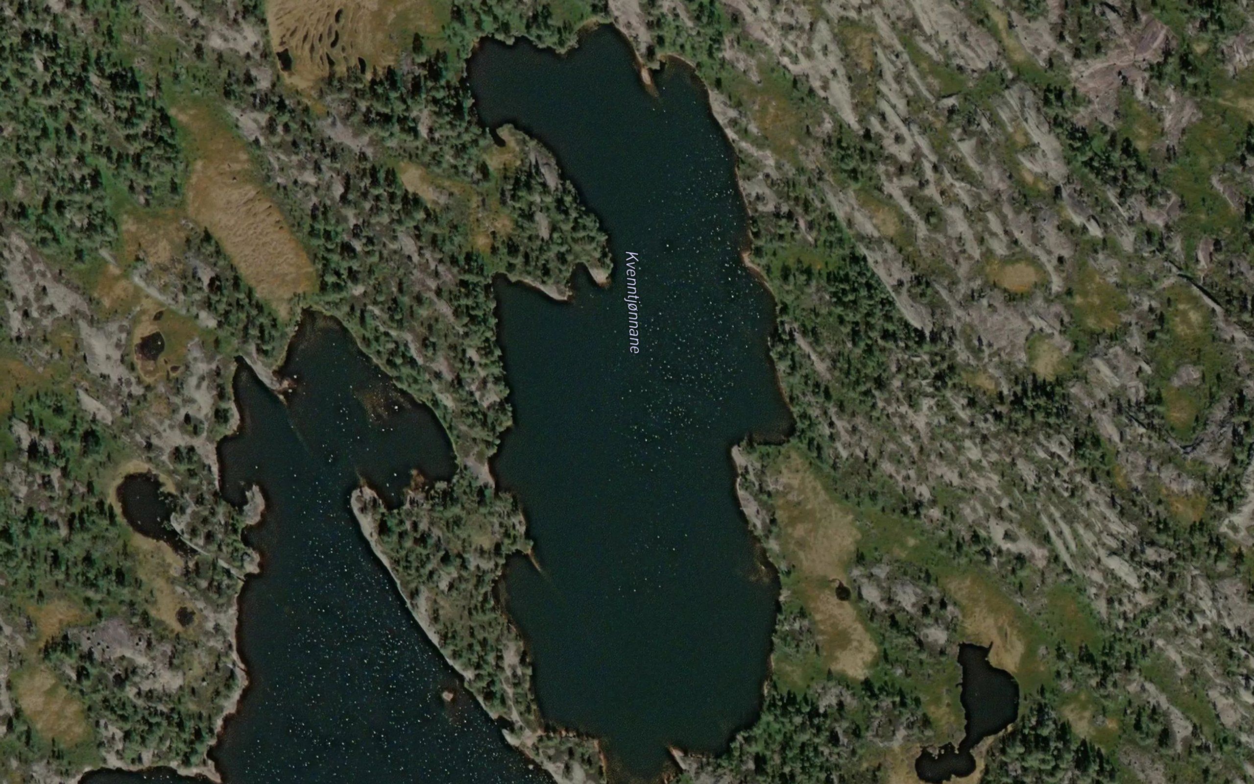 Kverntjornane