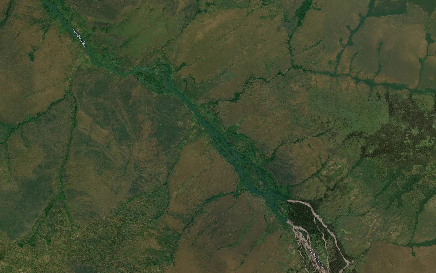 Satellite map of the Niemba