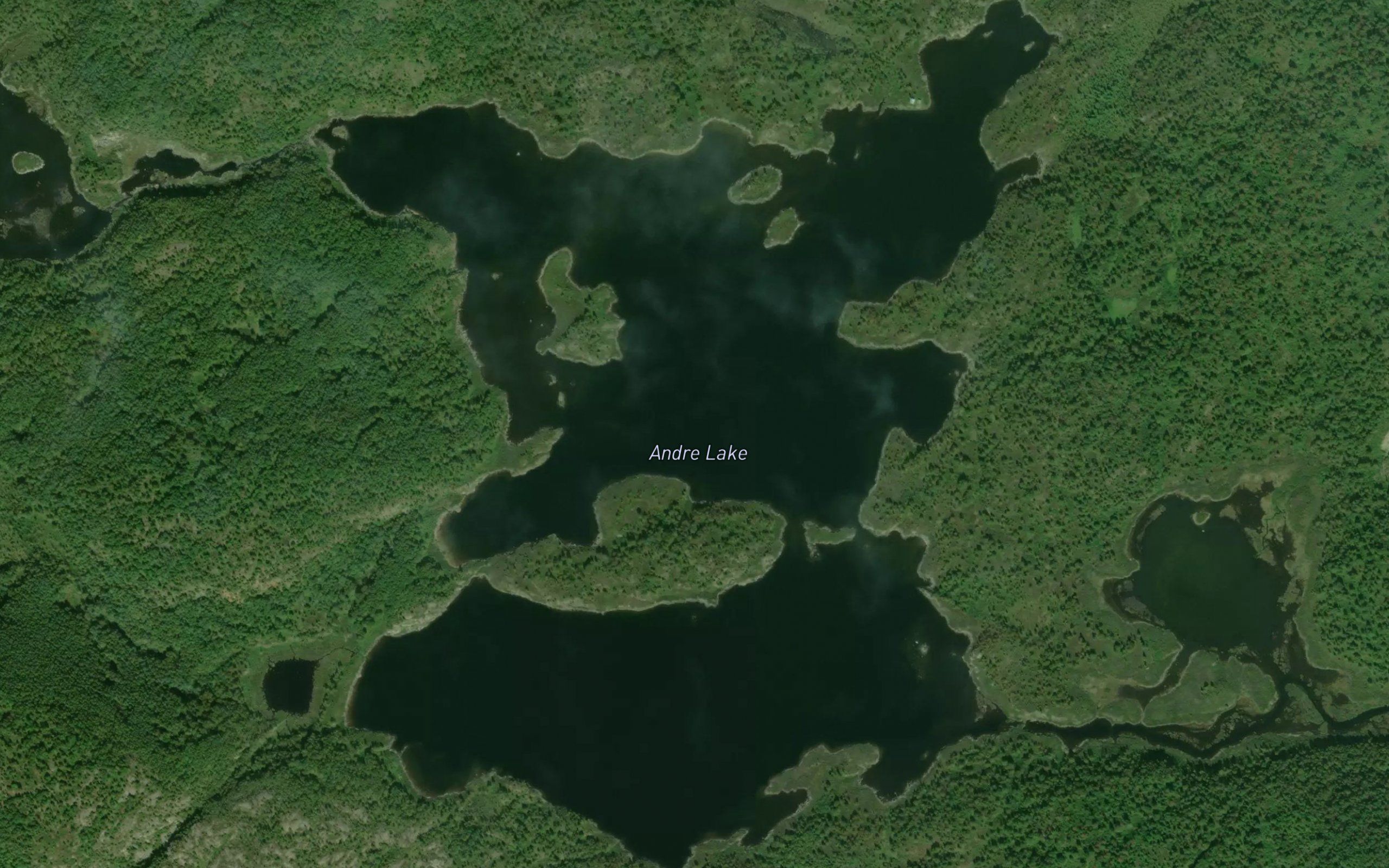 Andre Lake