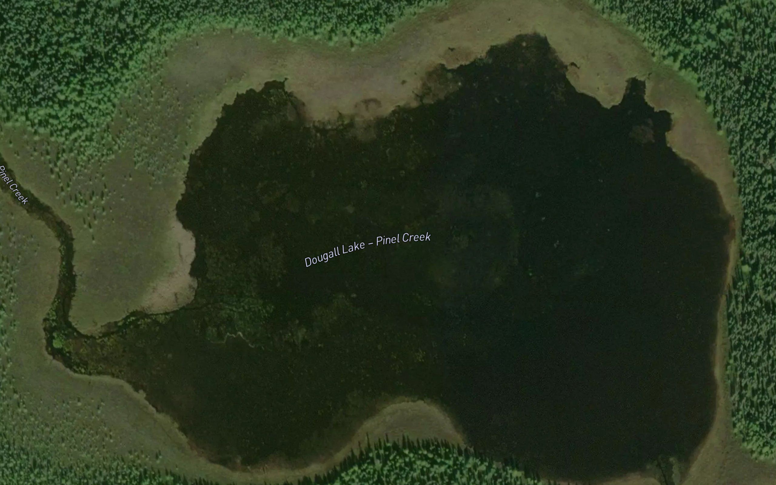 Dougall Lake