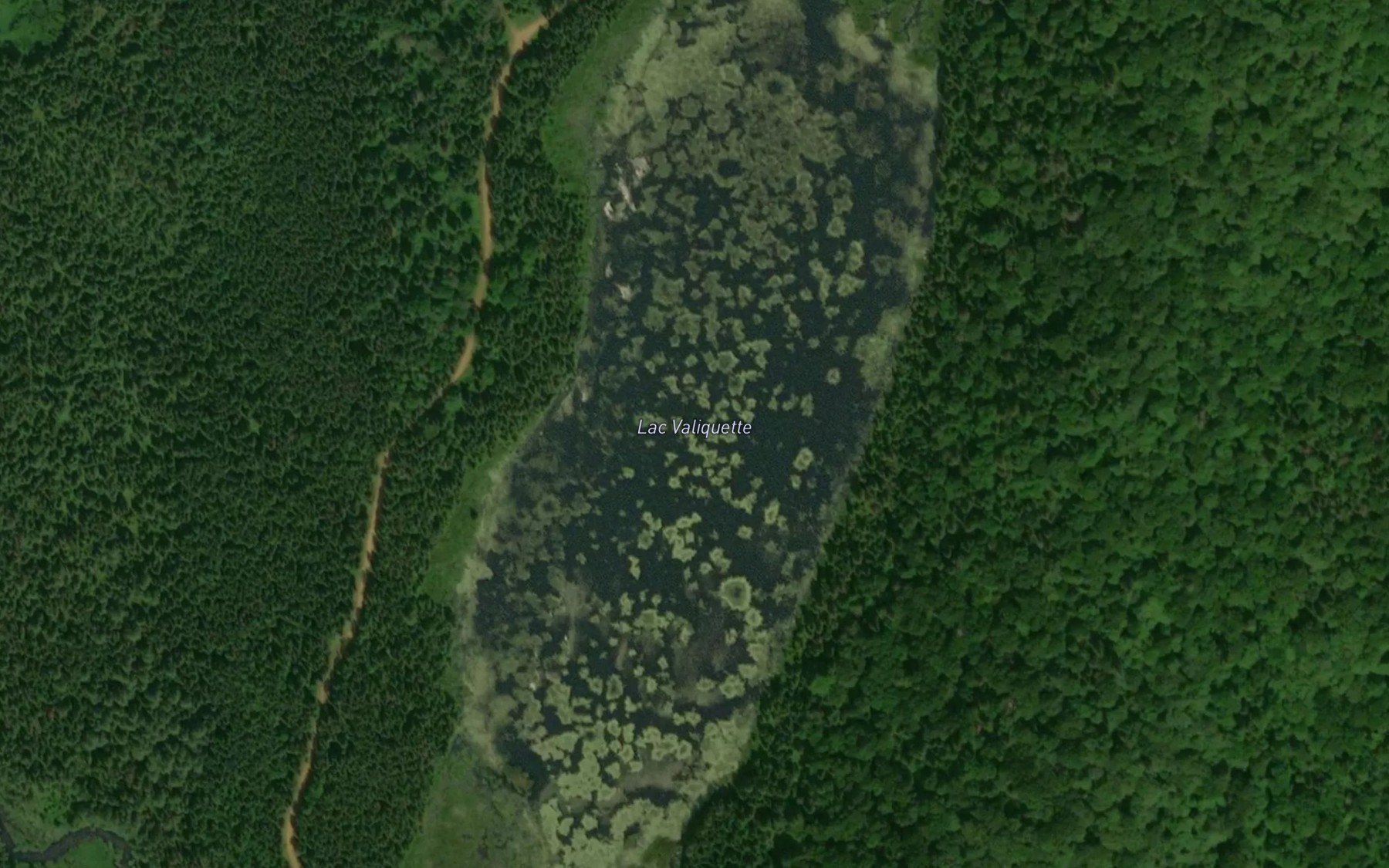 Satellite map of the Lac Valiquette