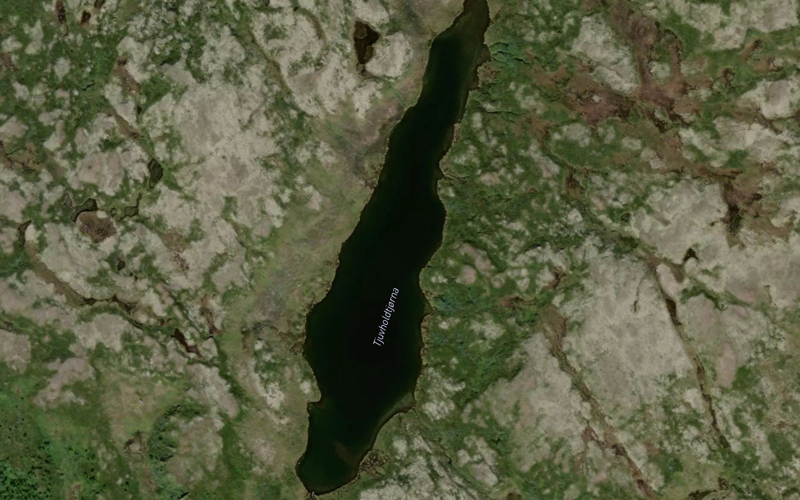 Tjuvholtjorn