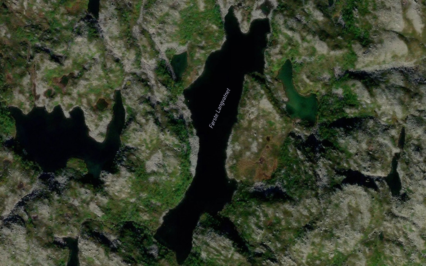 Satellite map of the Forste Langvatnet