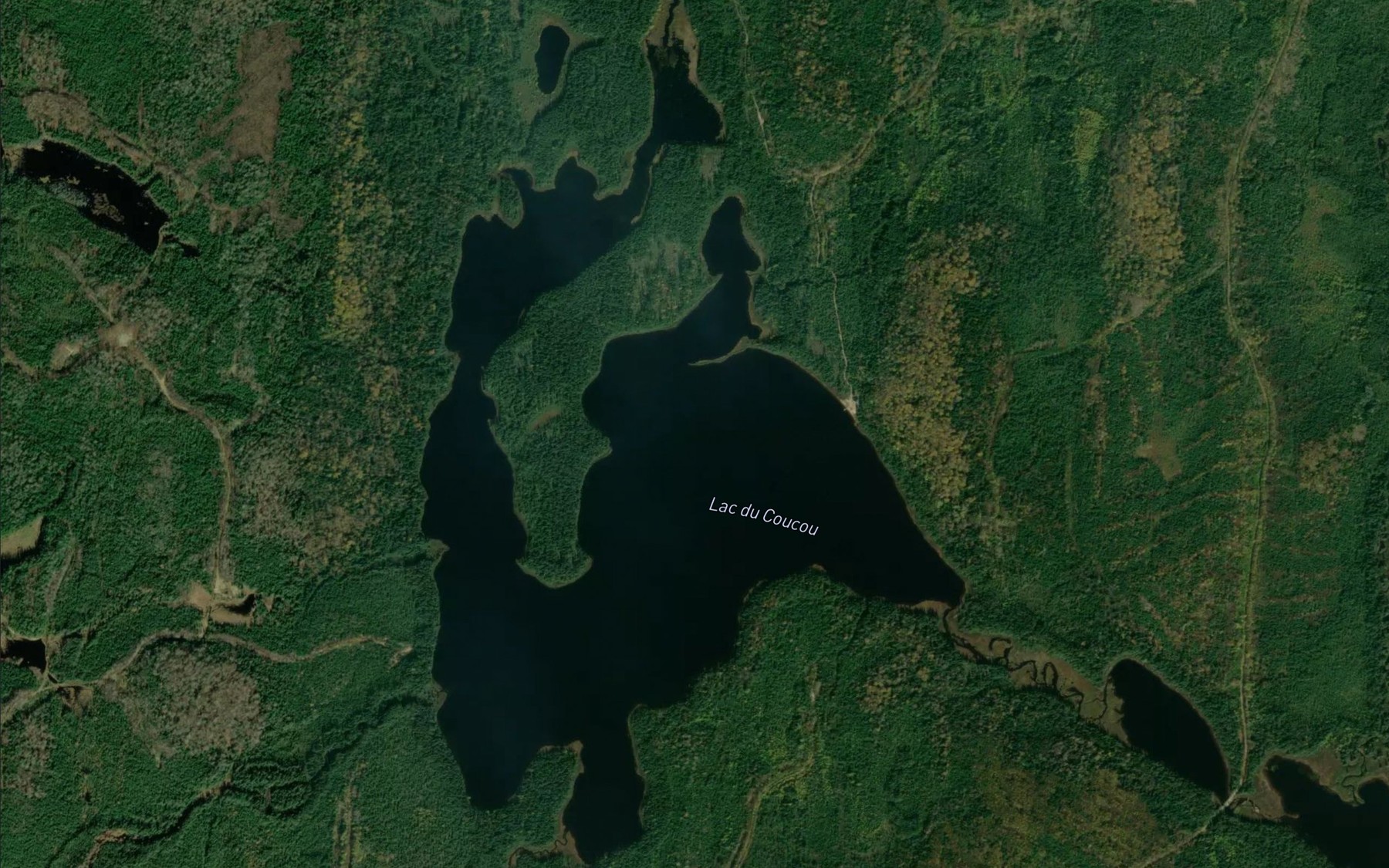 Satellite map of the Lac du Coucou