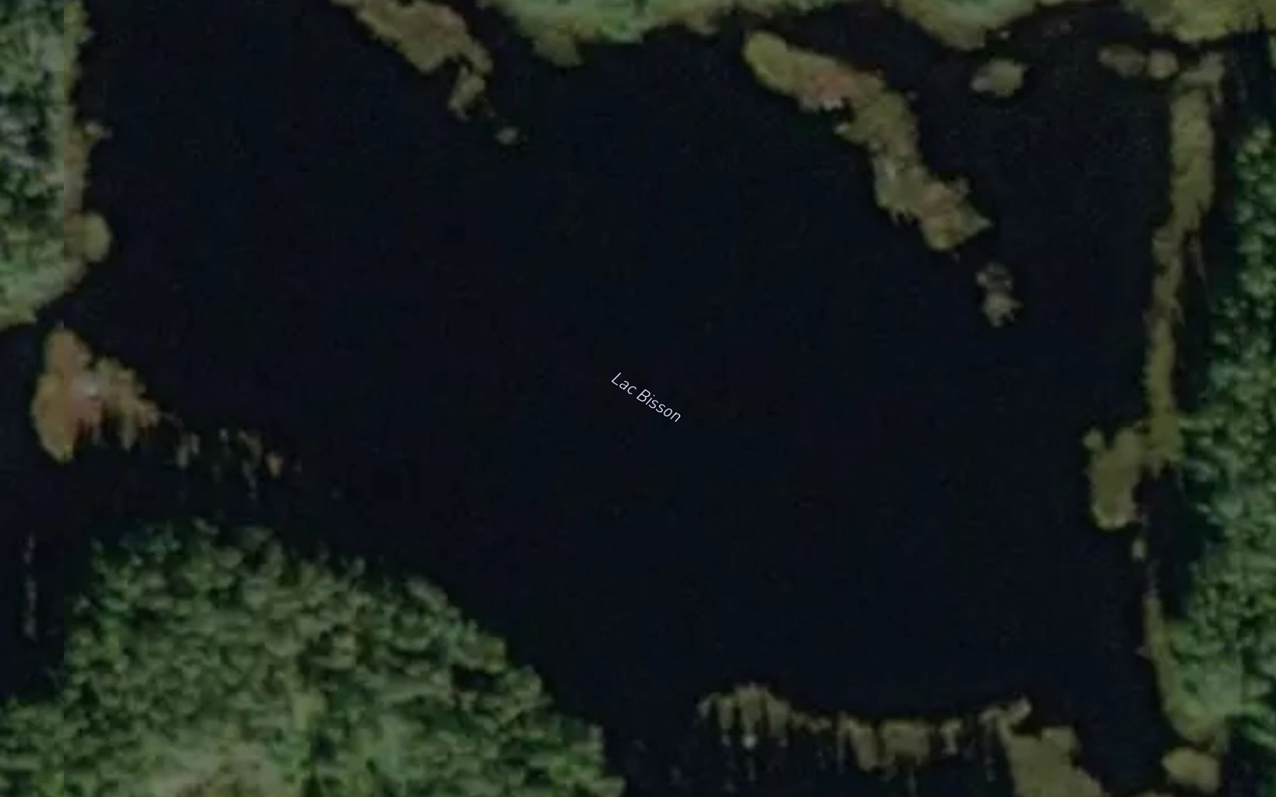 Satellite map of the Lac Bisson