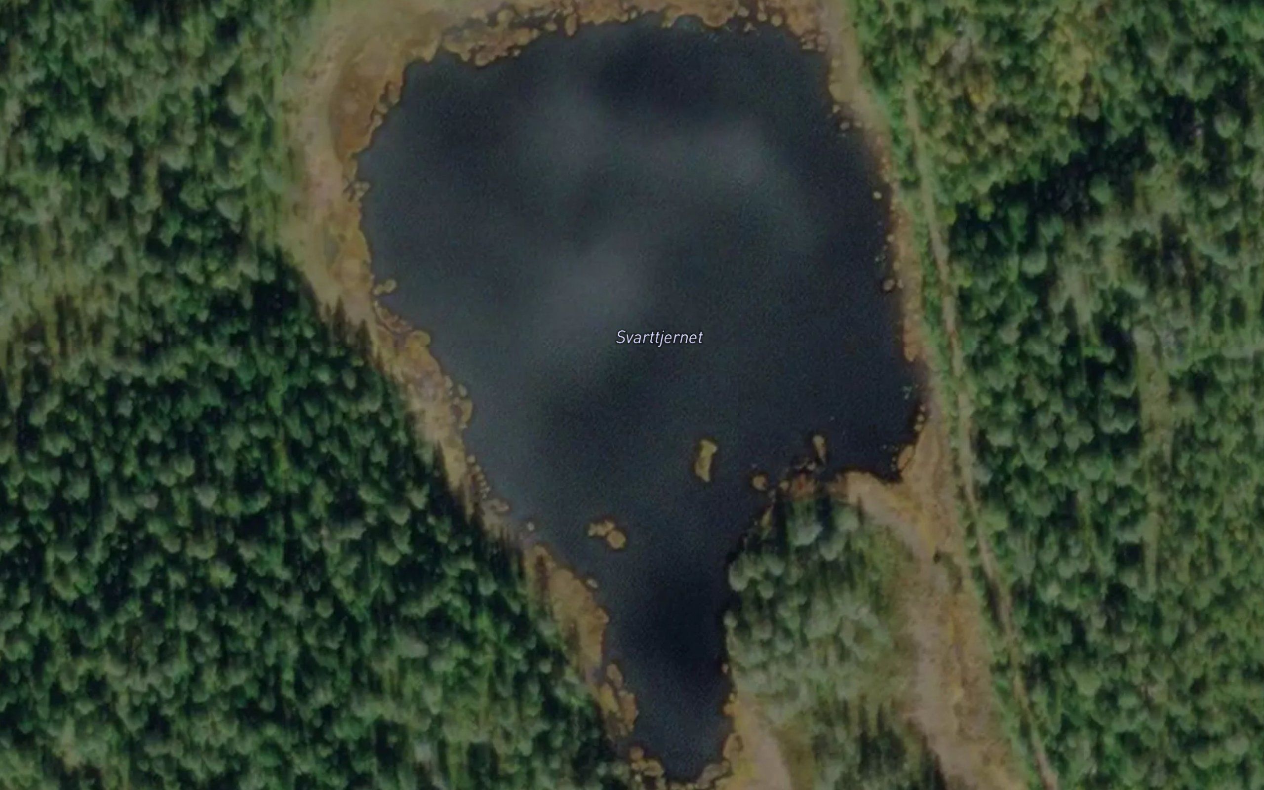 Svarttjennet