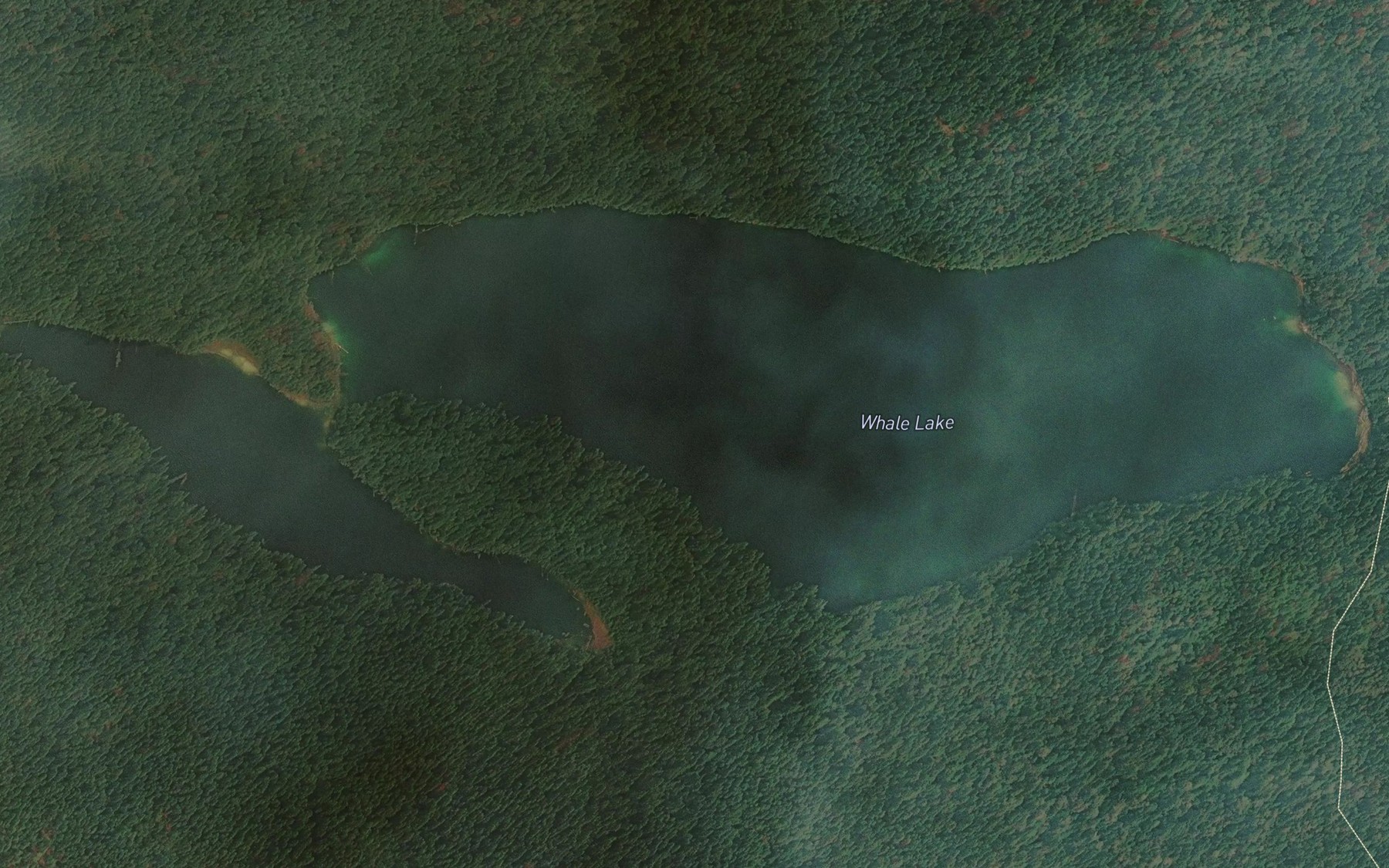 Satellite map of the Whale Lake