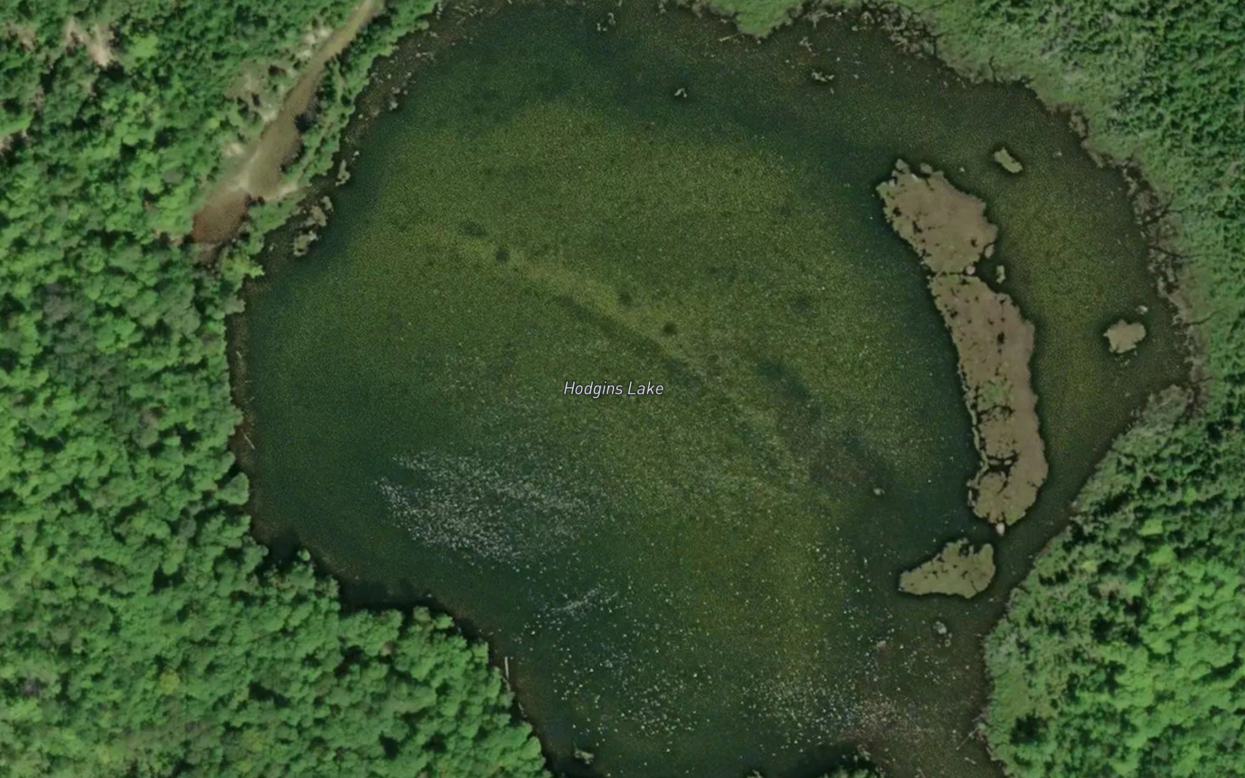 Hodgins Lake