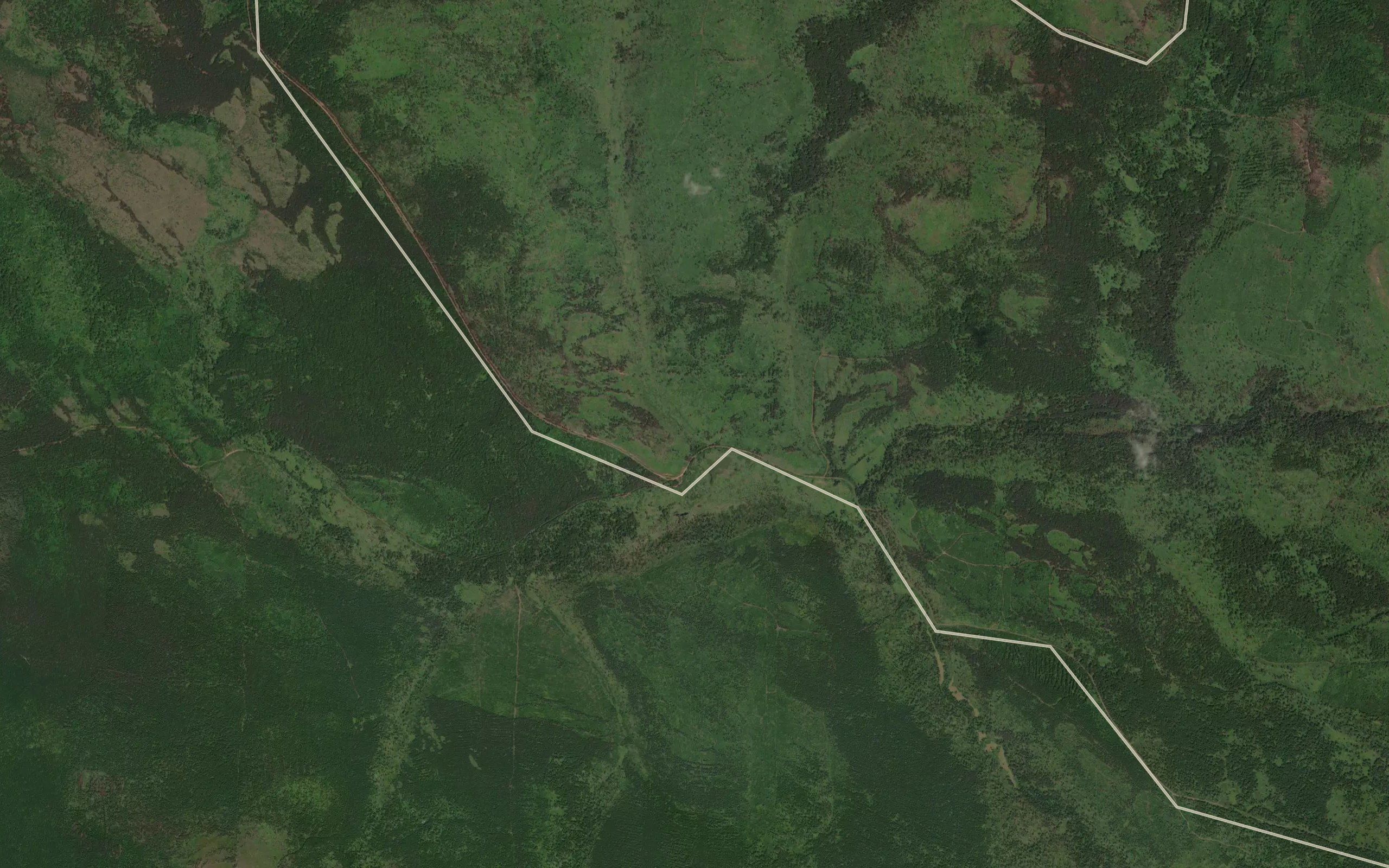 Lesovoznyy