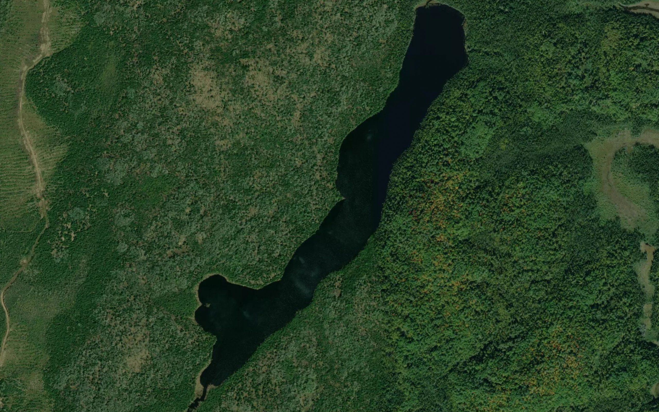Sea Horse Lake