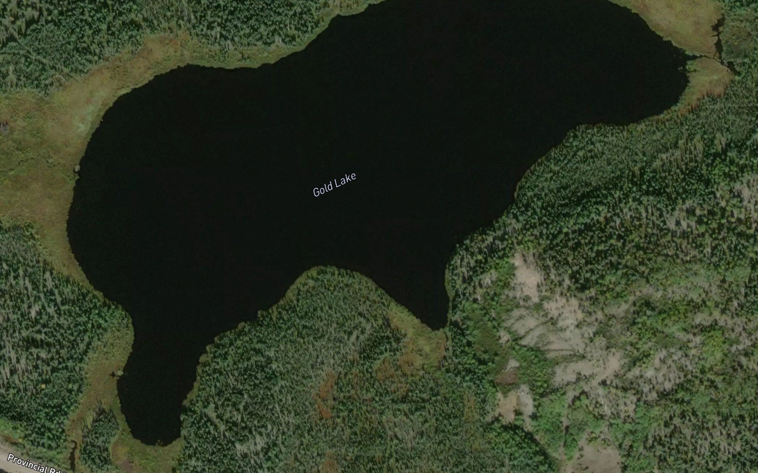 Gold Lake