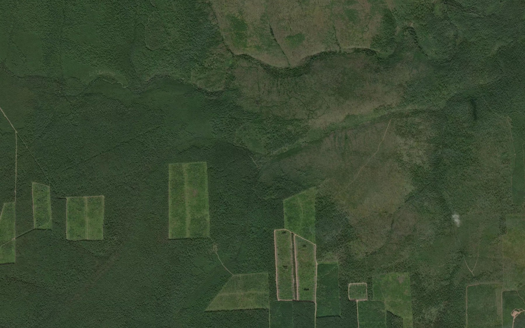 Satellite map of the Mostikov