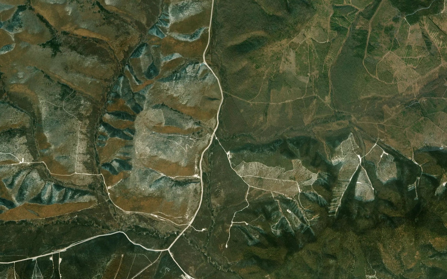 Satellite map of the Bufa