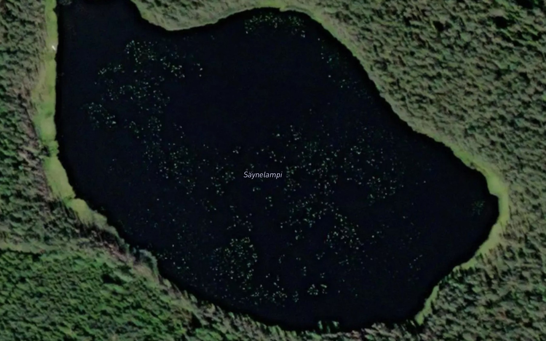 Satellite map of the Saynelampi