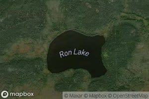 Ron Lake