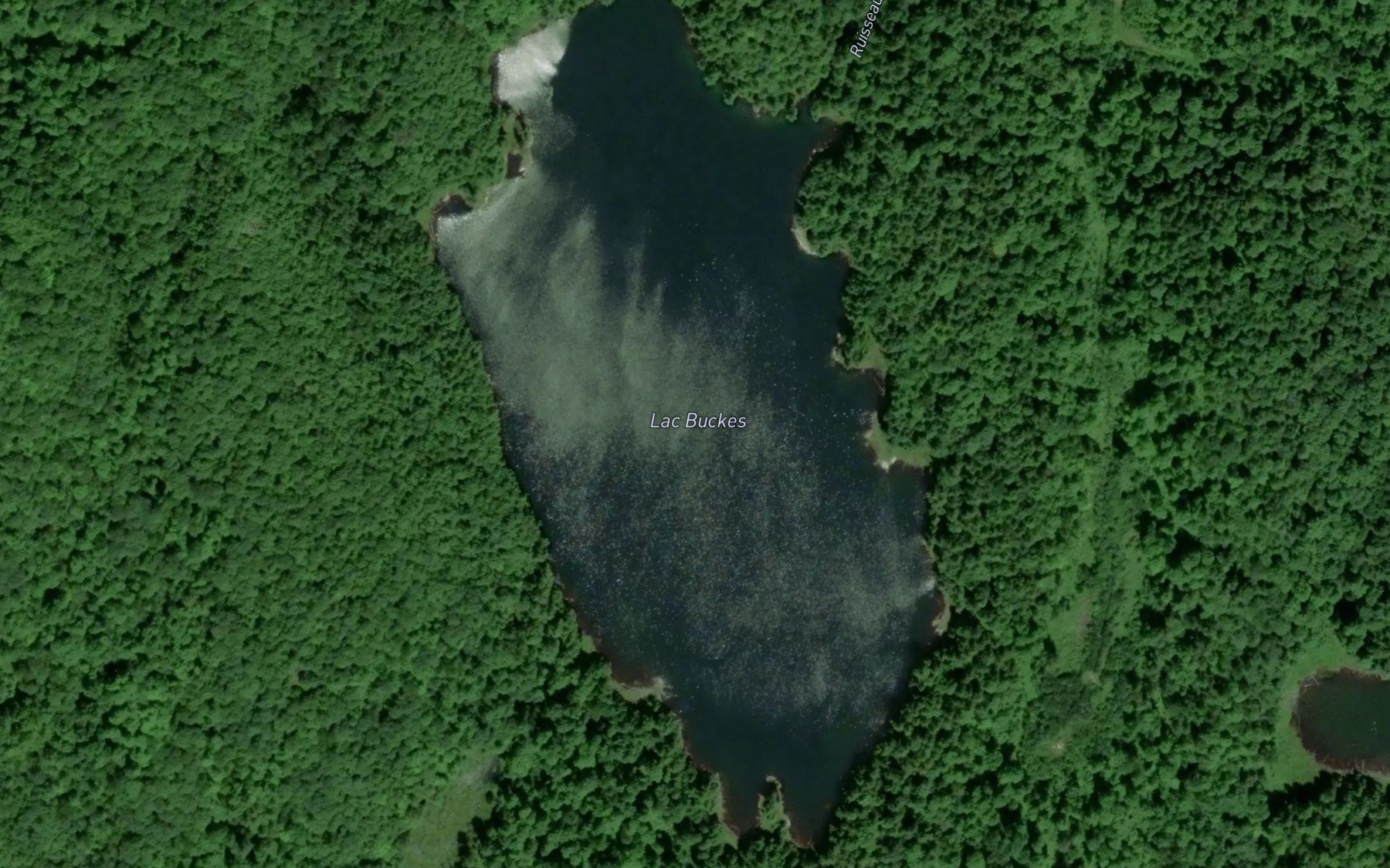Satellite map of the Lac Buckes