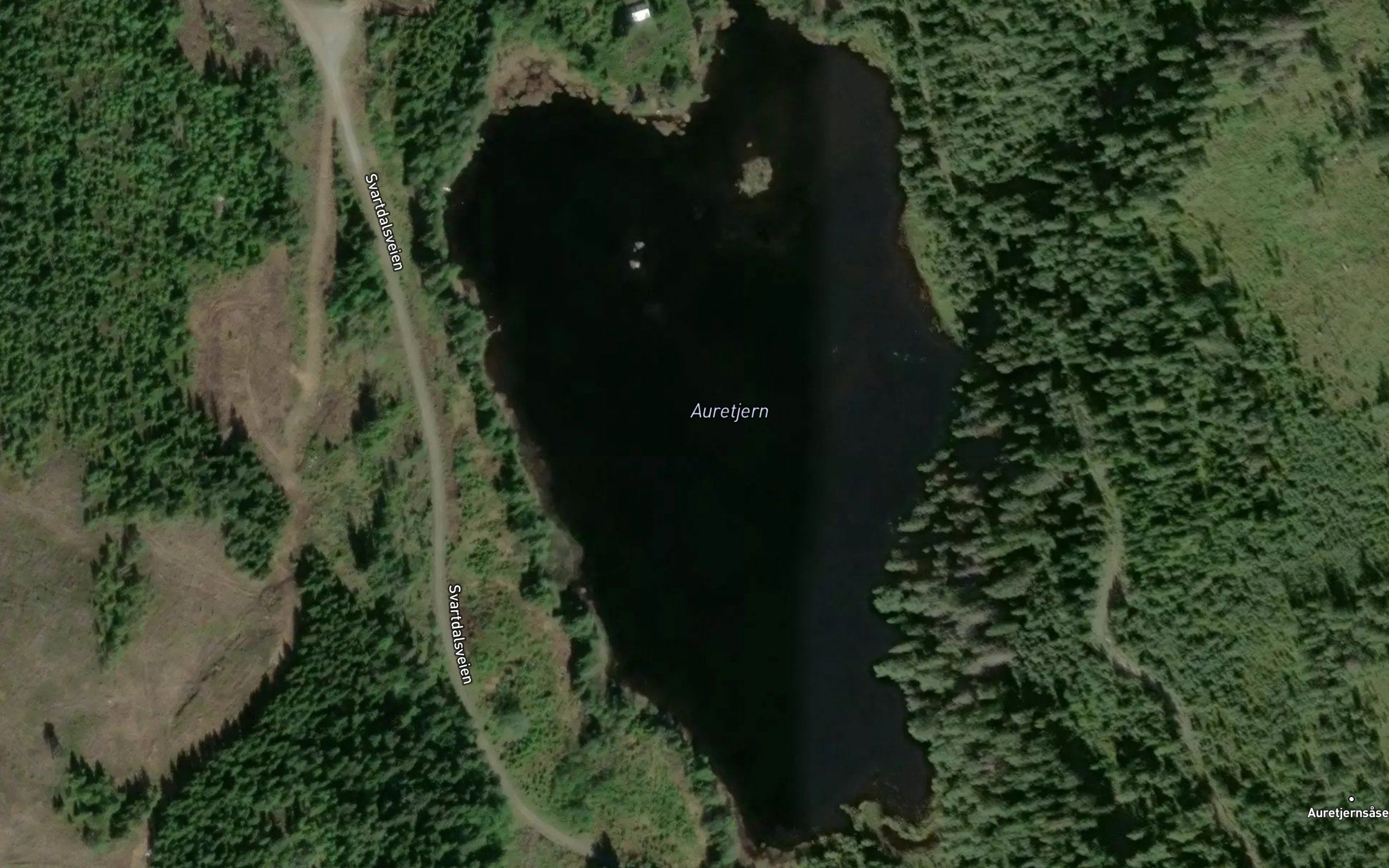 Auretjern