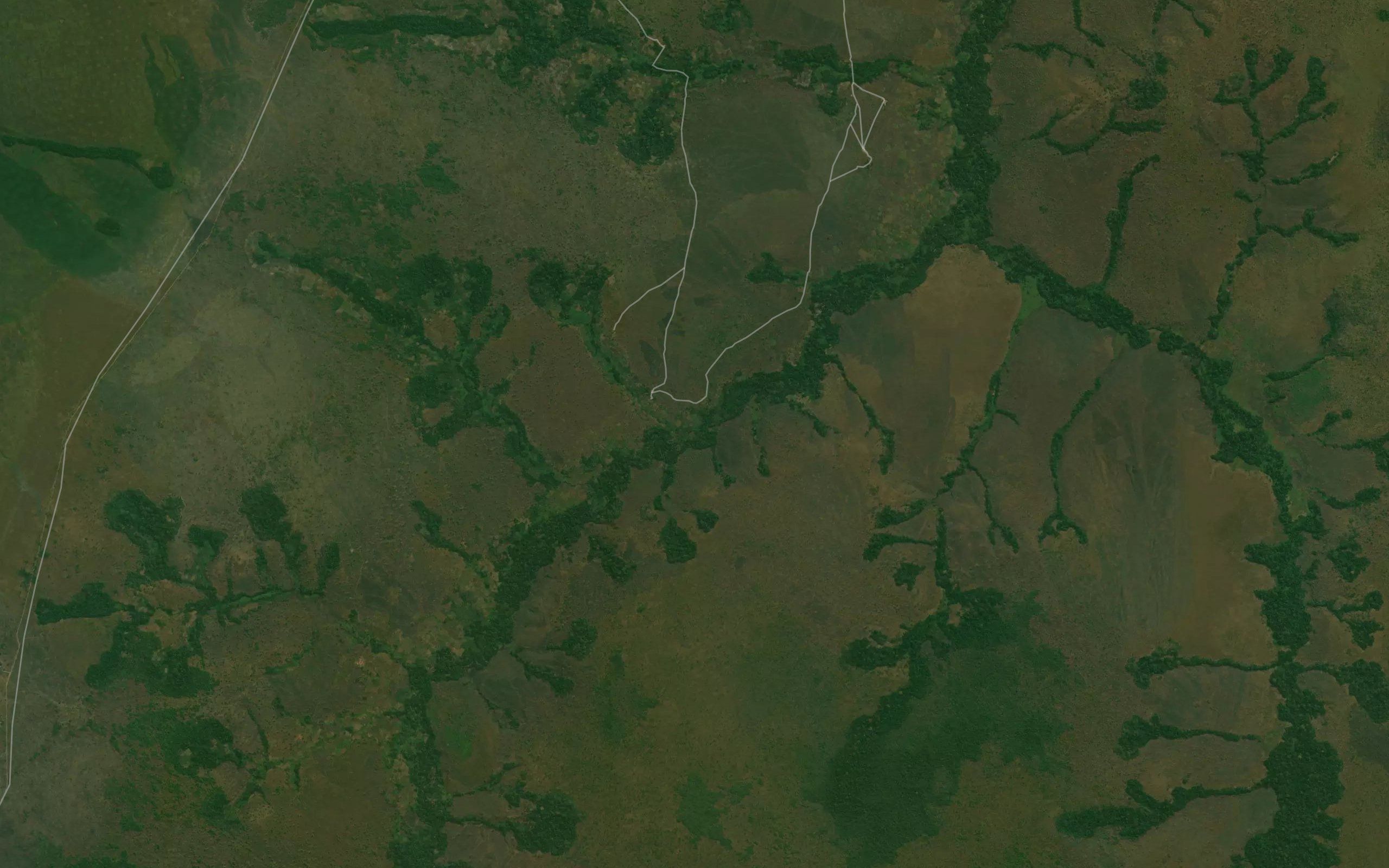 Kafula
