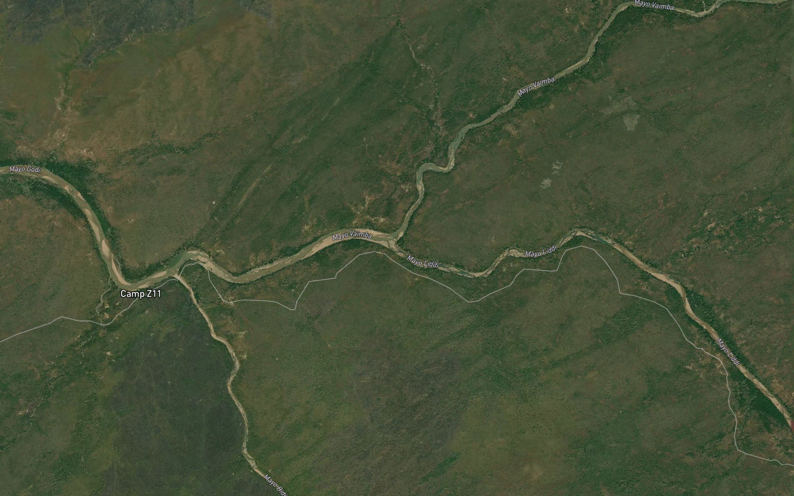 Mayo Lidi