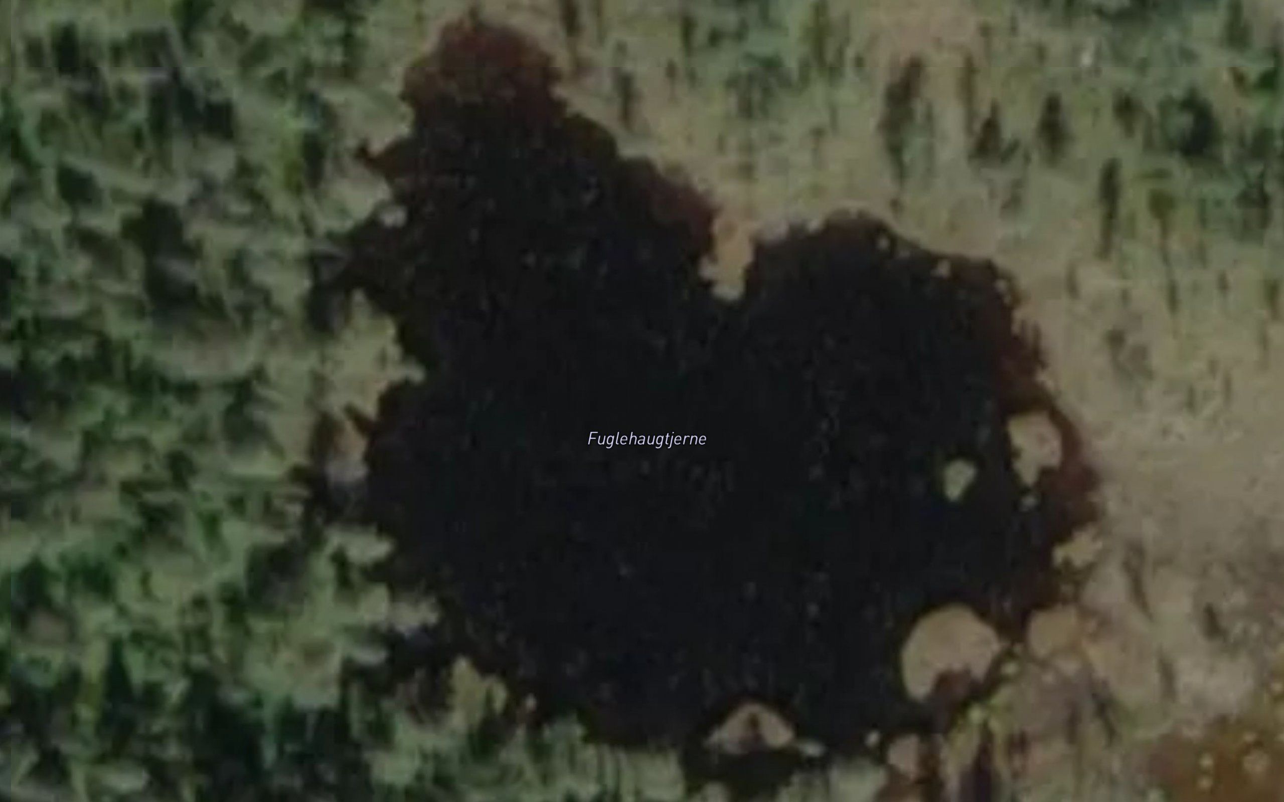 Fuglehaugtjerni