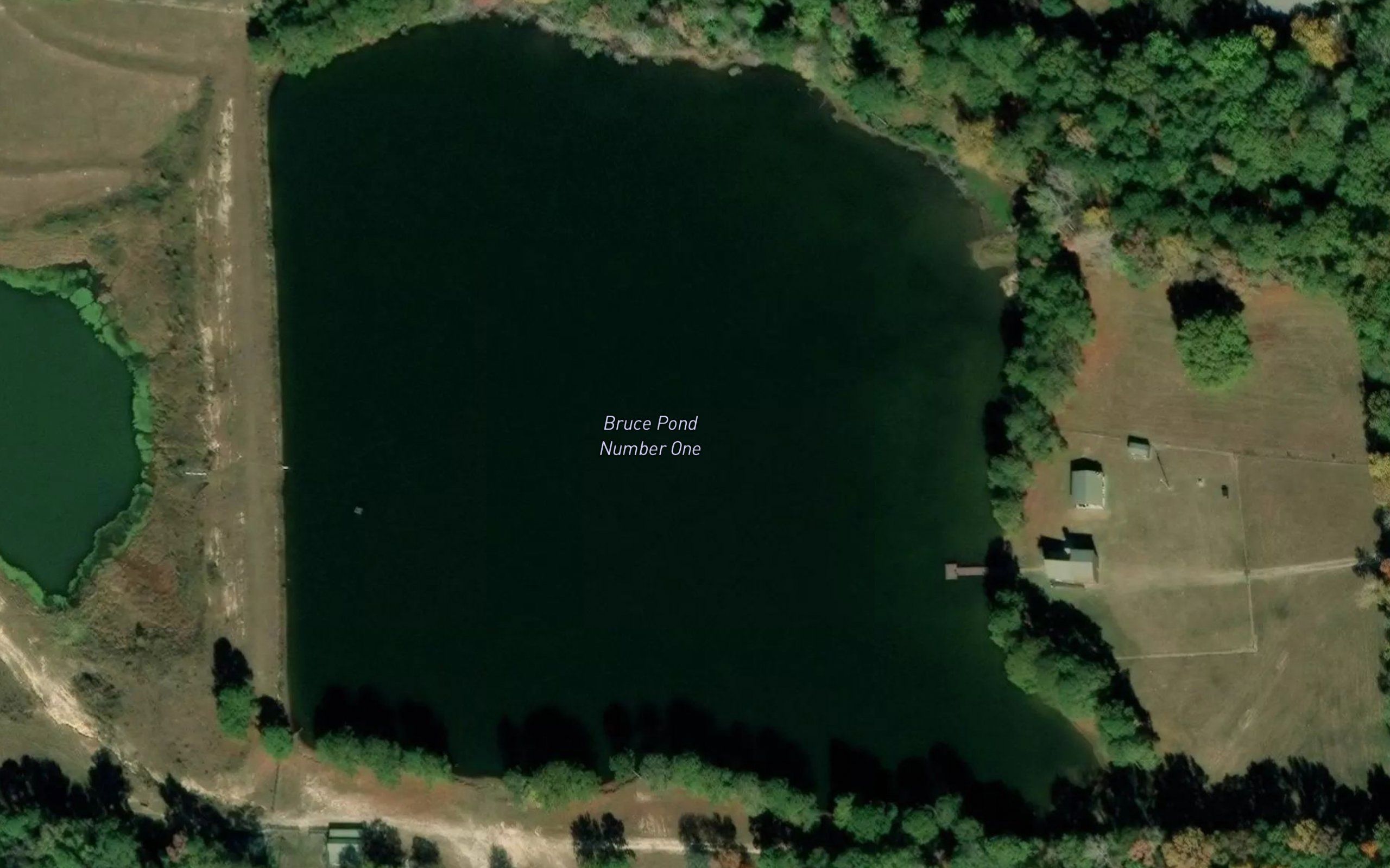 Bruce Pond Number One