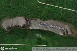 California Pond