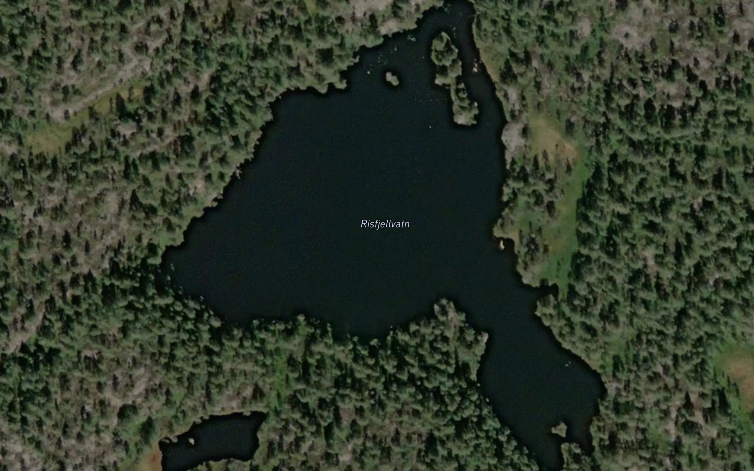 Risfjellvatn