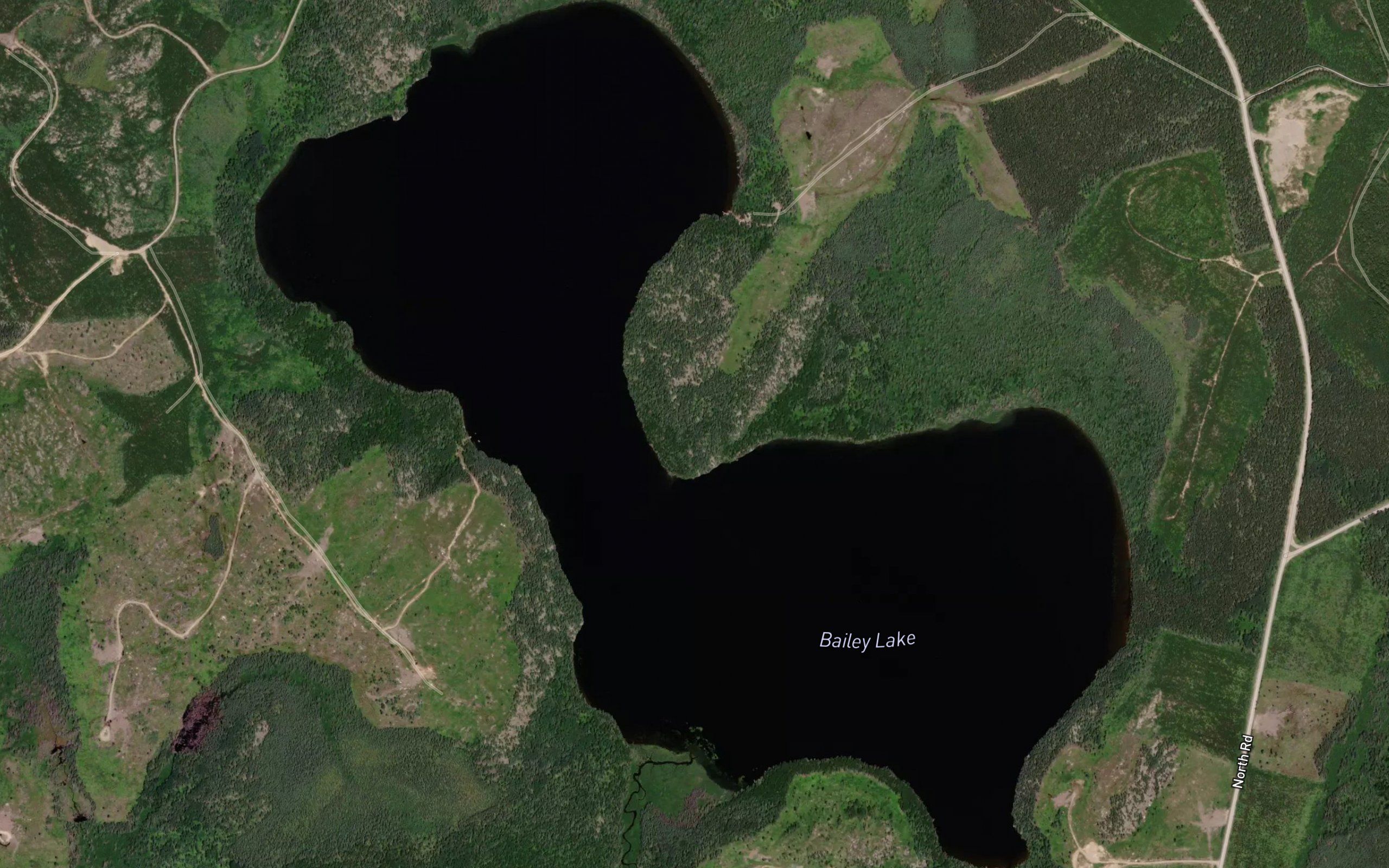 Bailey Lake