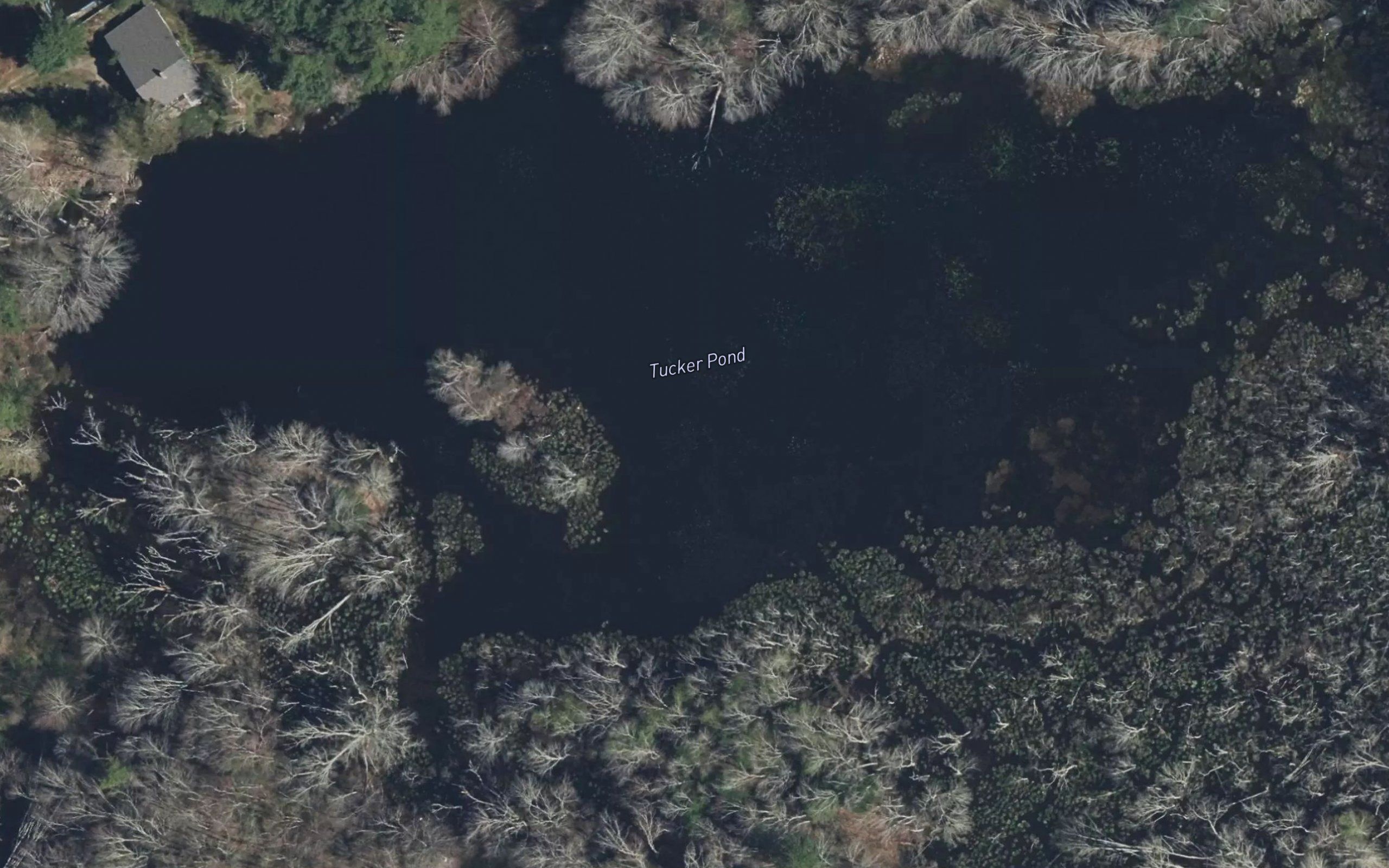 Tucker Pond