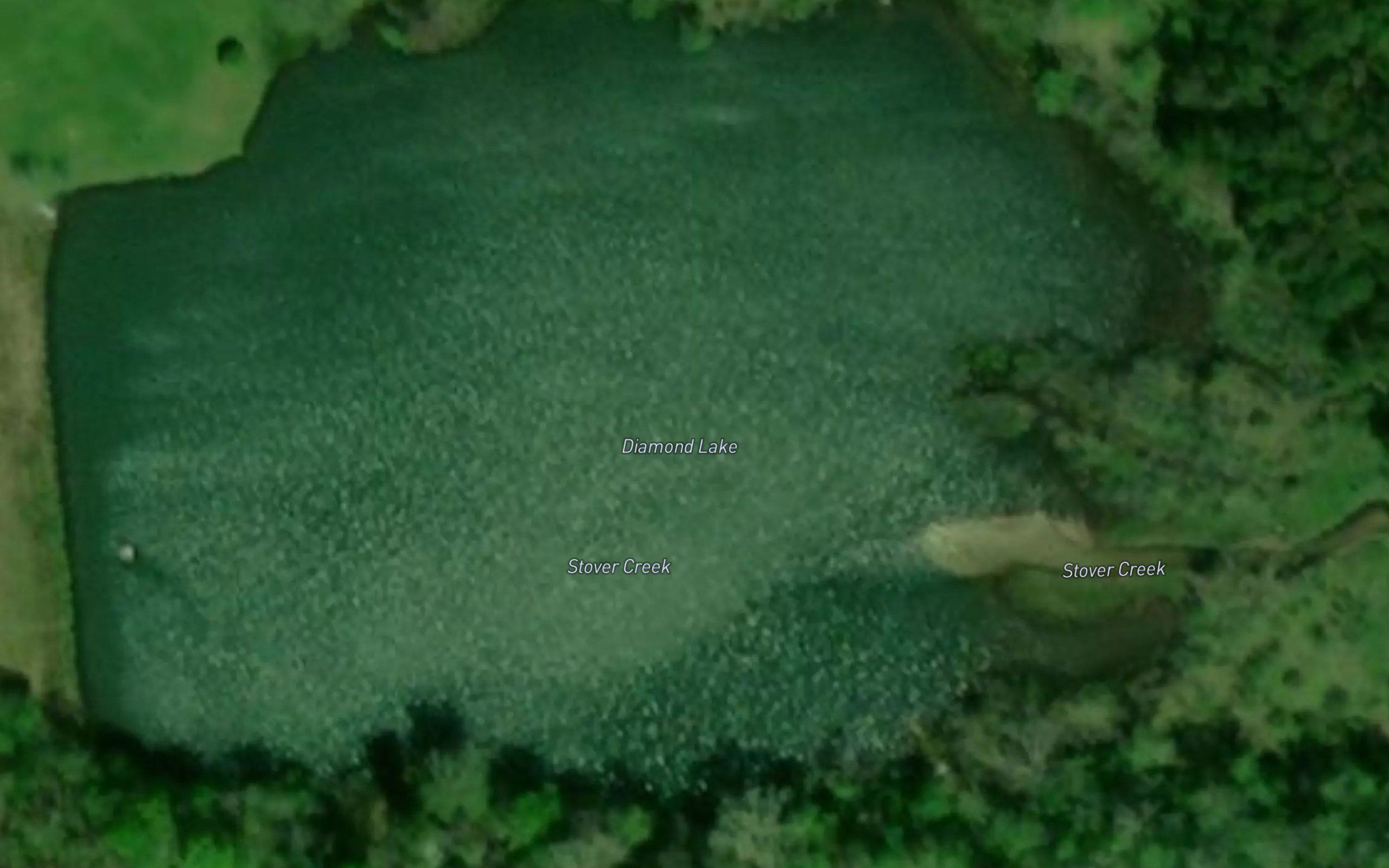 Diamond Lake