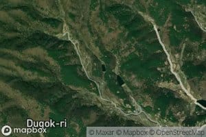 Saegokji