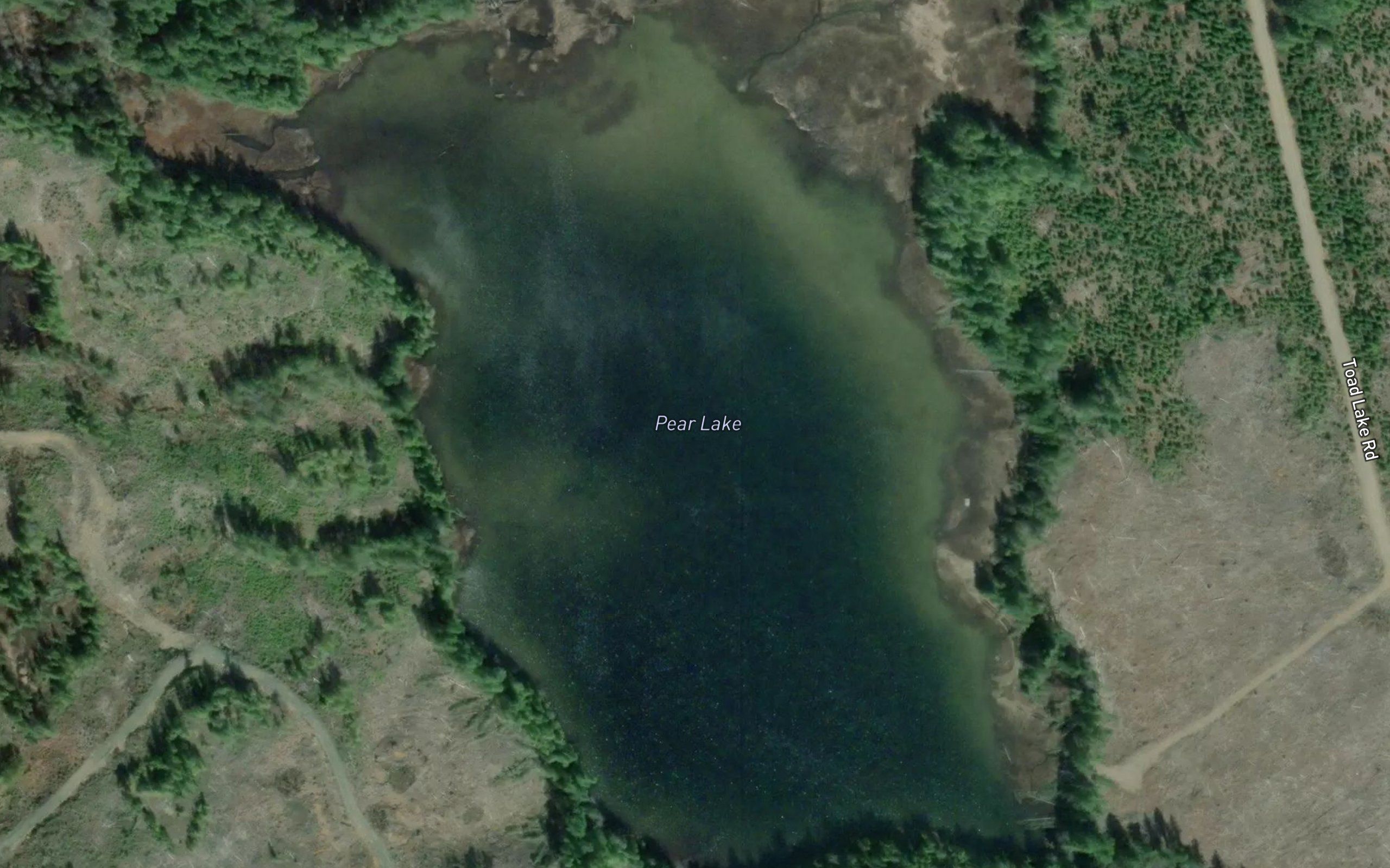 Pear Lake