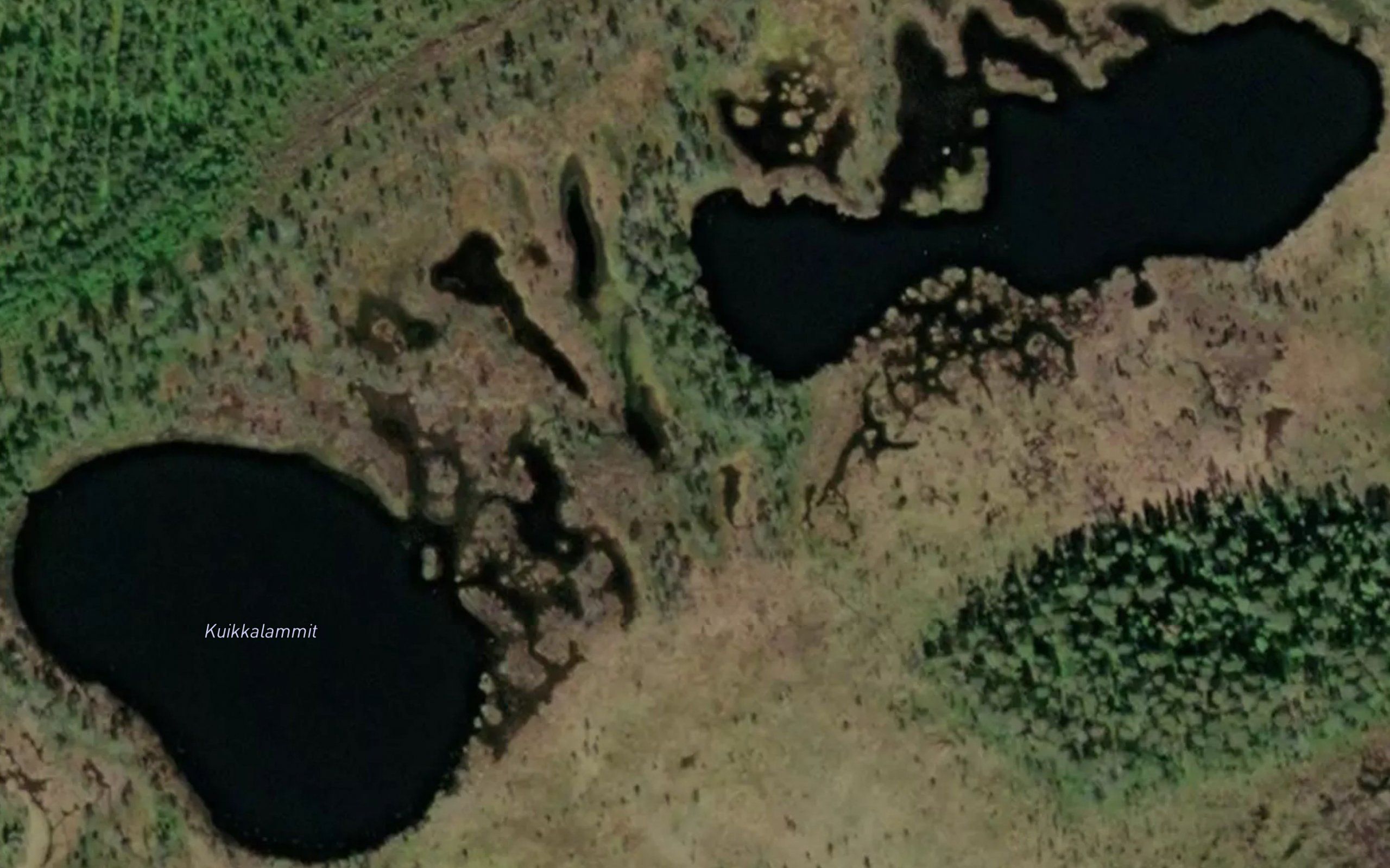 Kuikkalammit