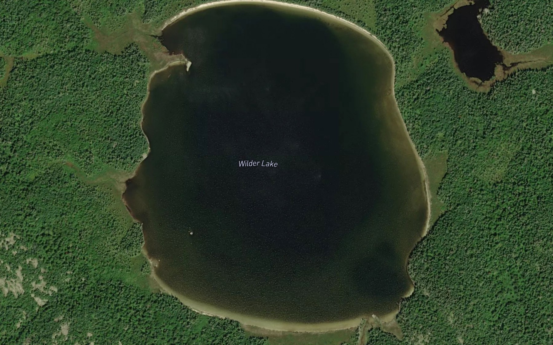 Satellite map of the Wilder Lake