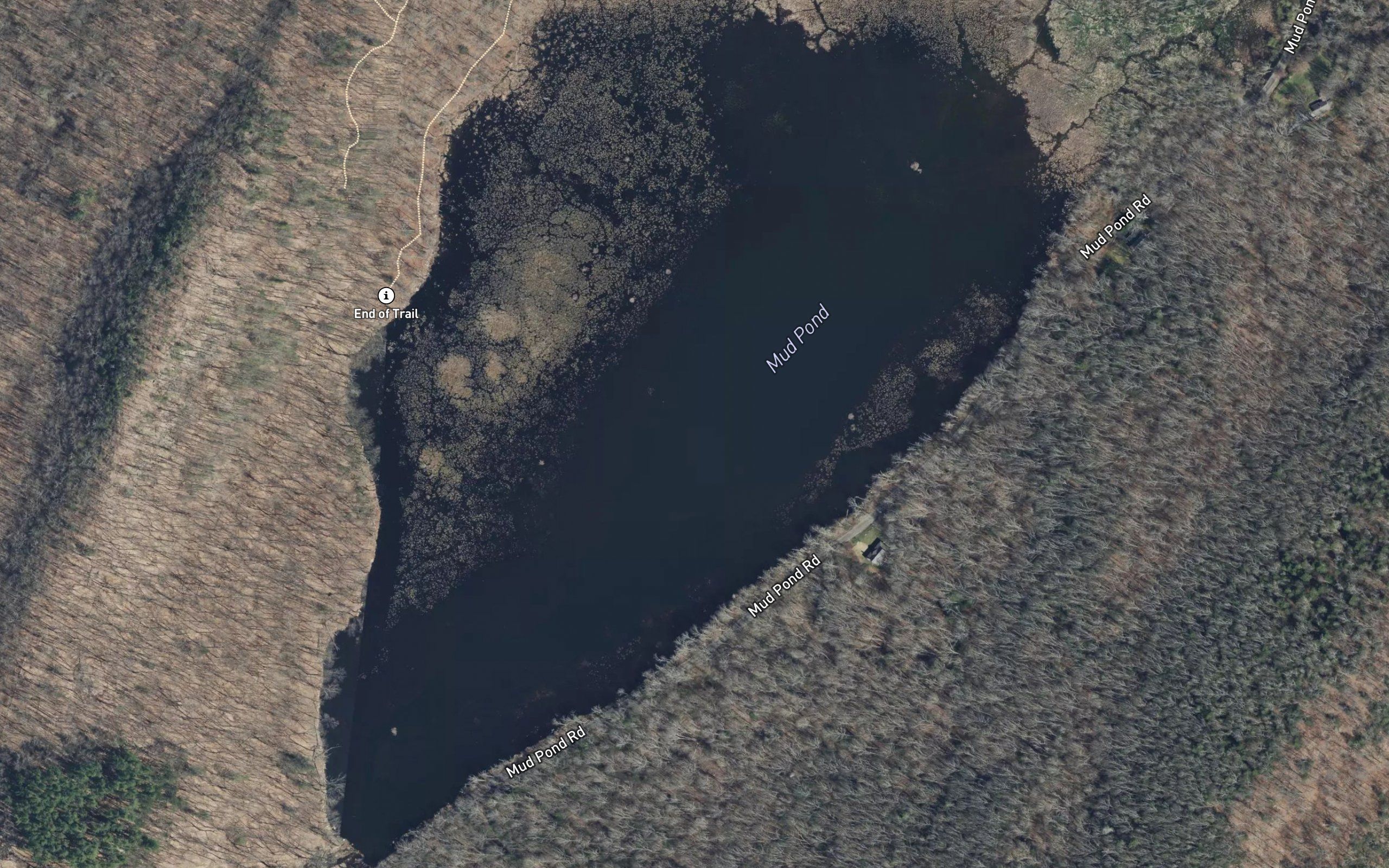Mud Pond