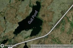 Gull Pond
