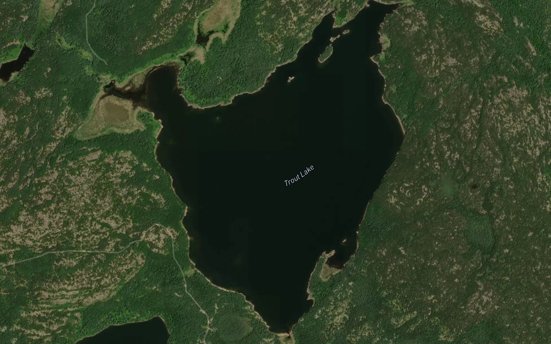 Satellite map of the Trout Lake