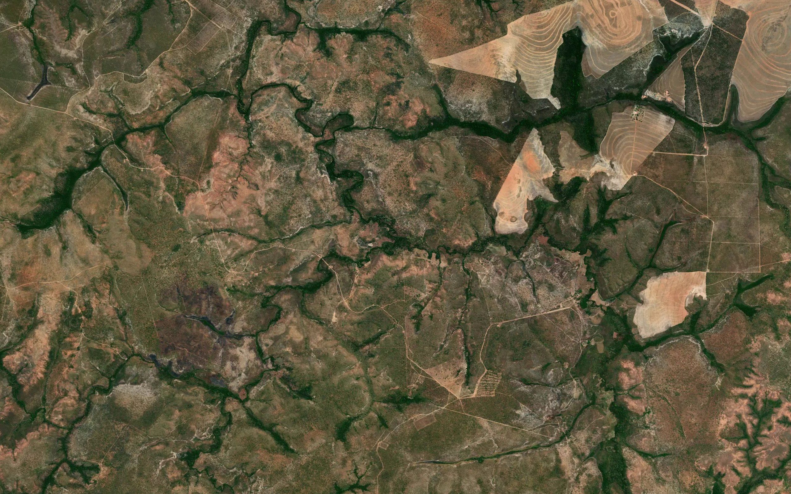 Rio Preto