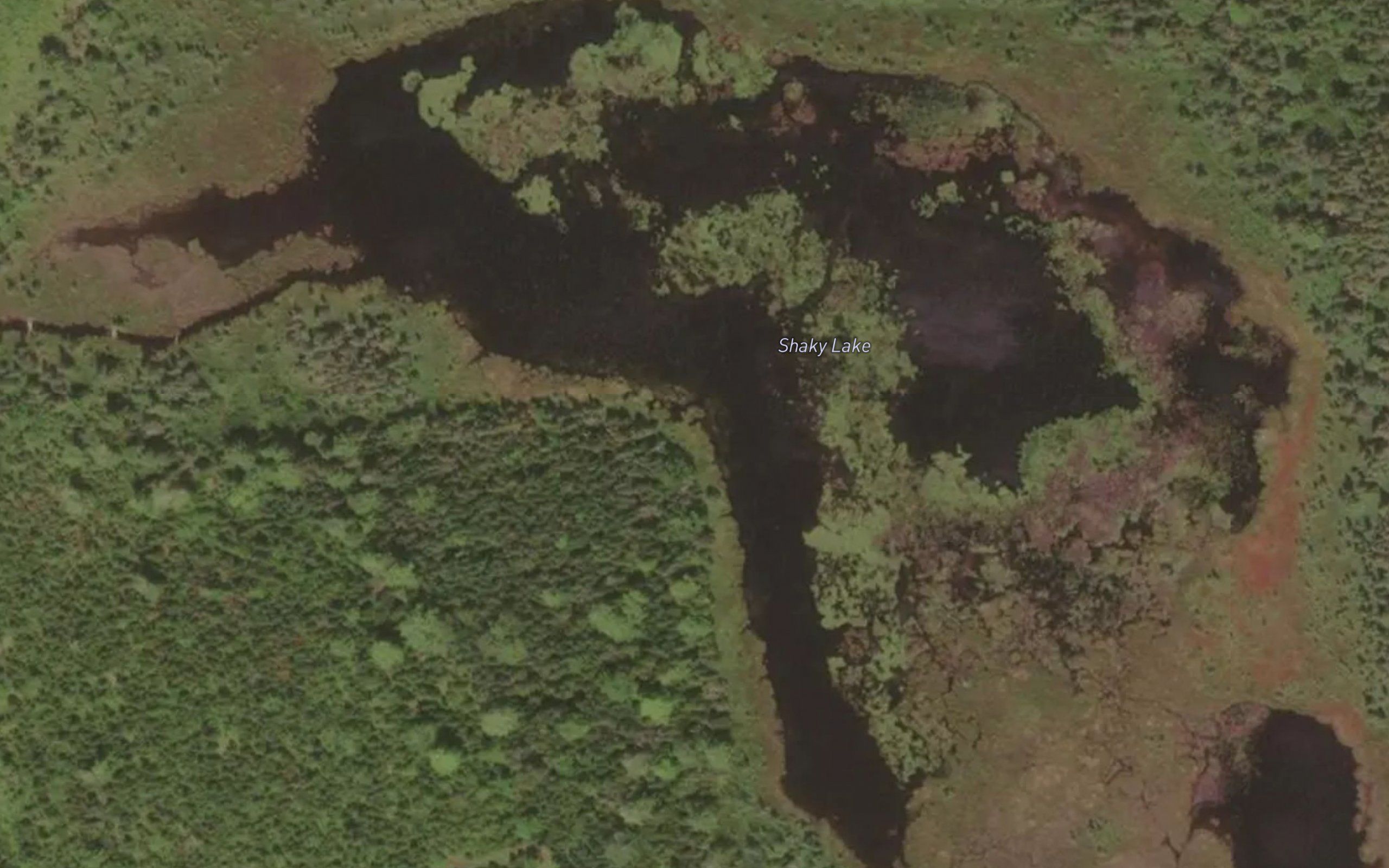 Shaky Lake