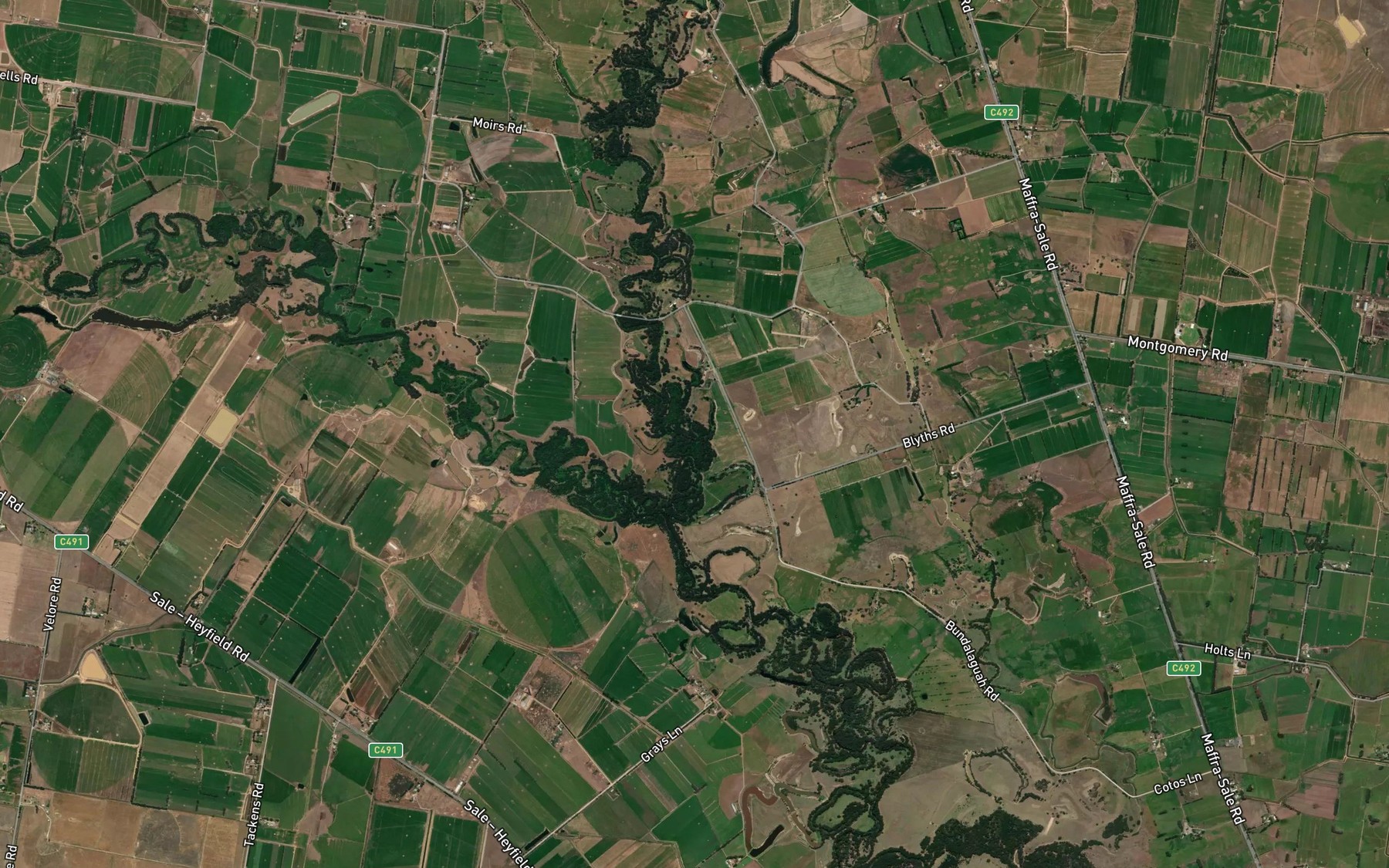 Macalister River Fishing in Victoria 2026 — Live Reports, Forecast & AI ...